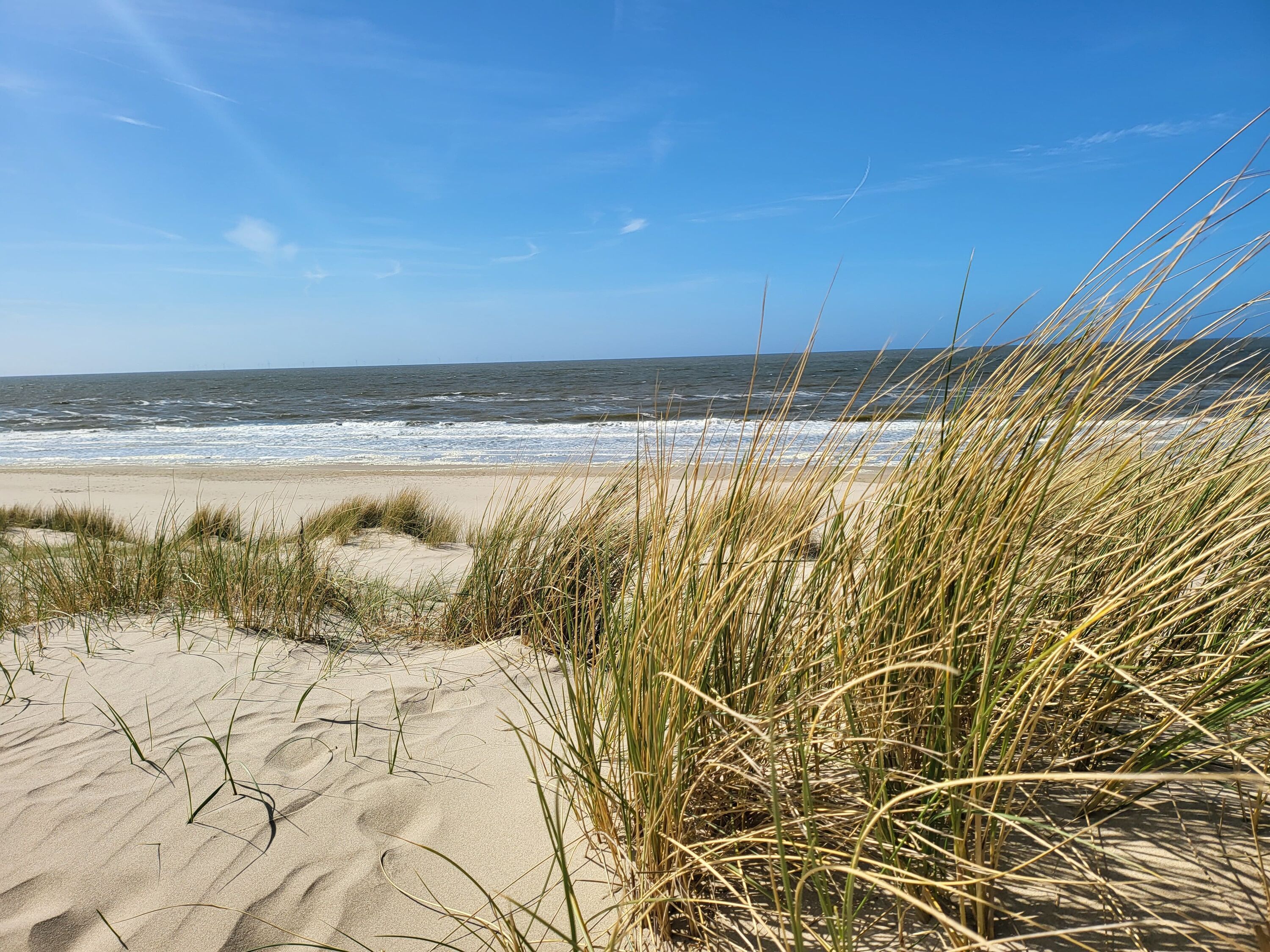 Strand bei Petten