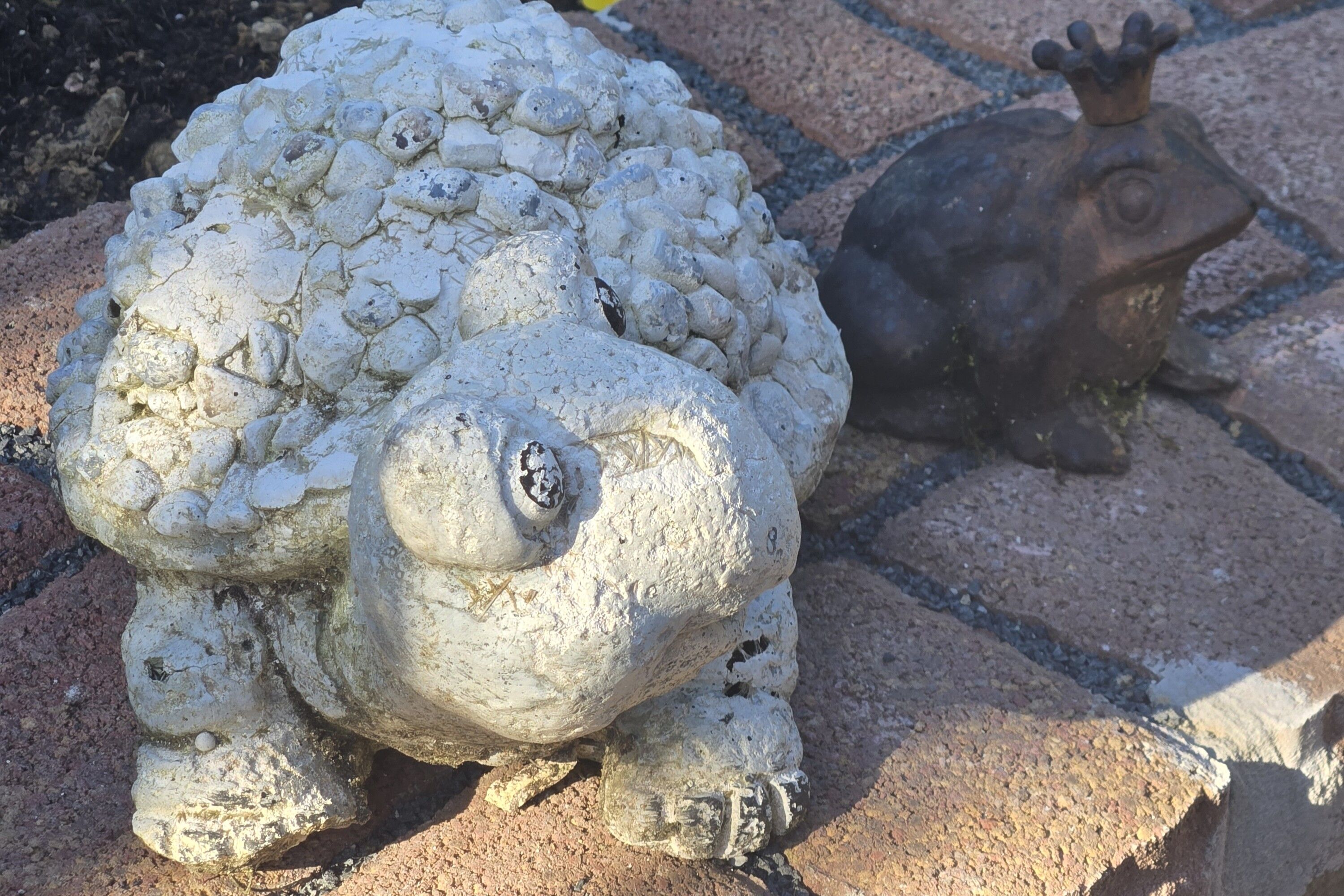 Schildkröte und Froschkönig halten schon einmal den Platz warm