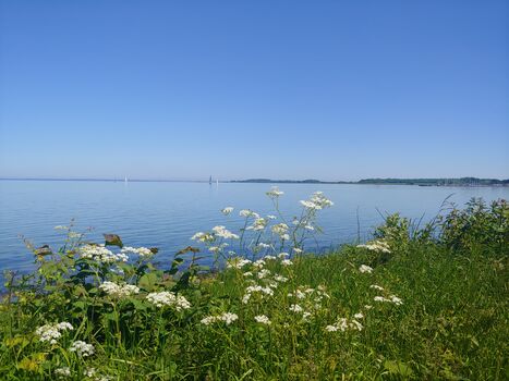 an der Aussenförde