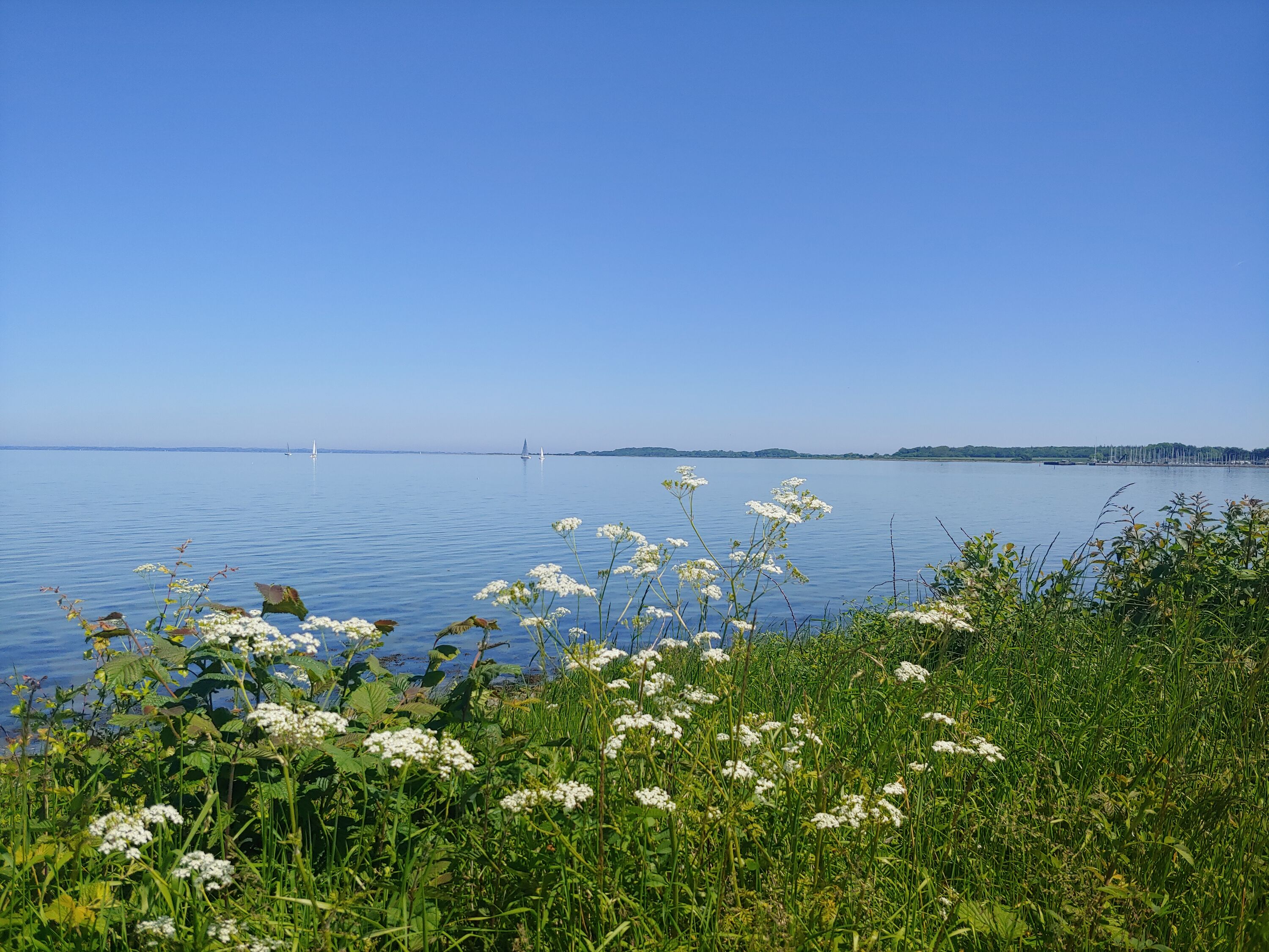 an der Aussenförde