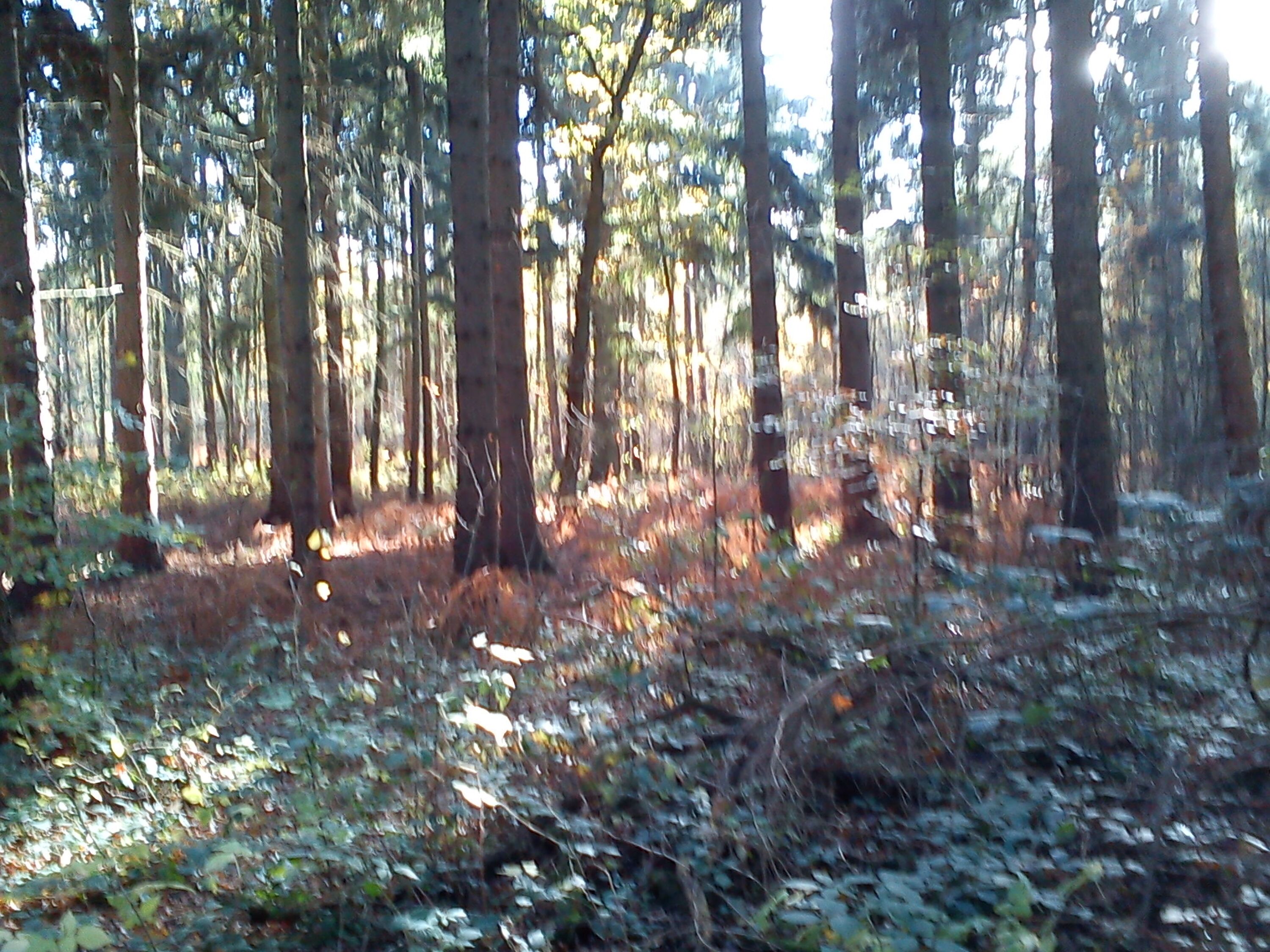 Naturschutzgebiet Lanken