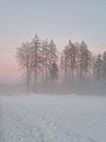 Wald und Felder direkt um die Ecke
