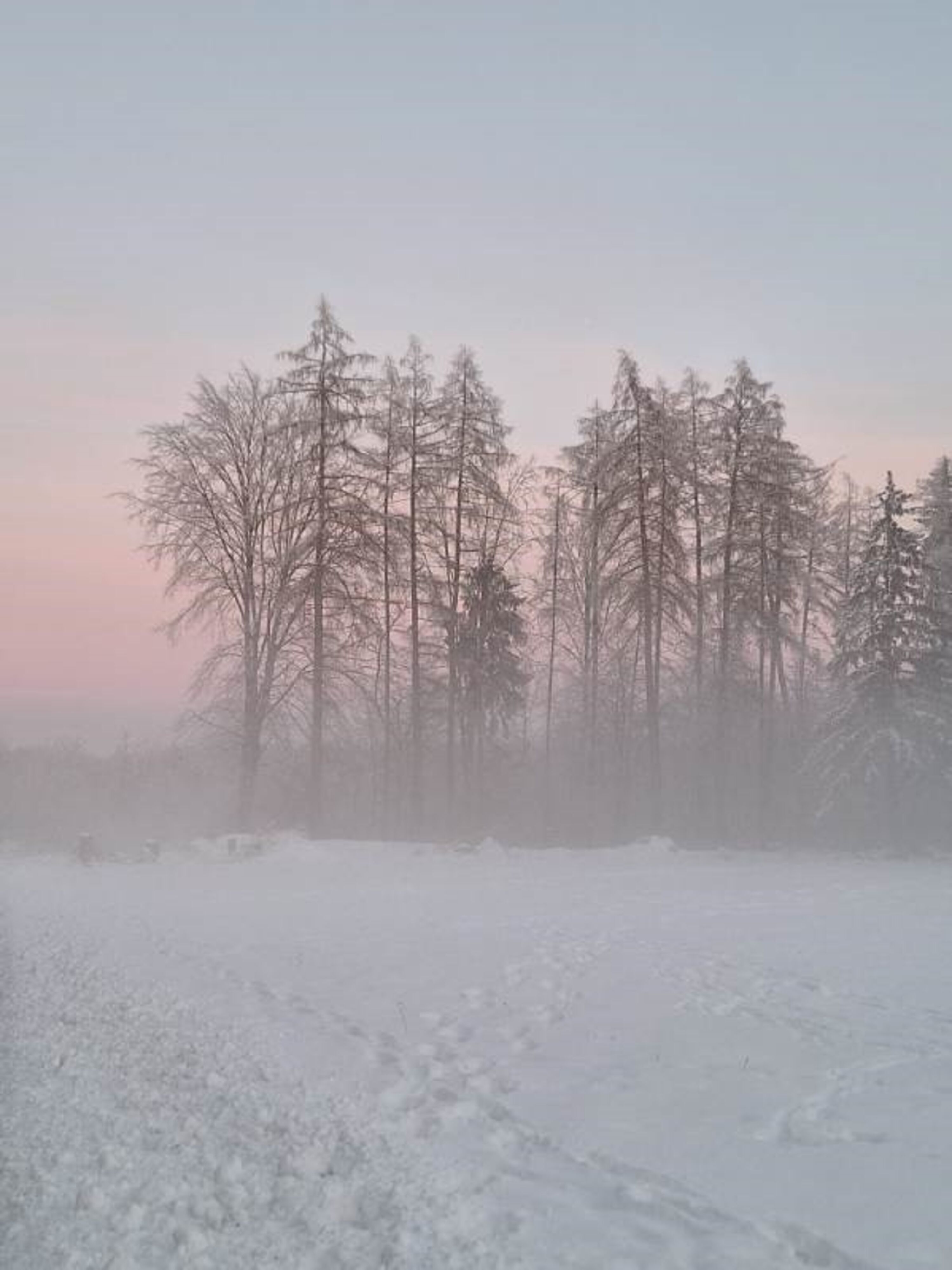 Wald und Felder direkt um die Ecke