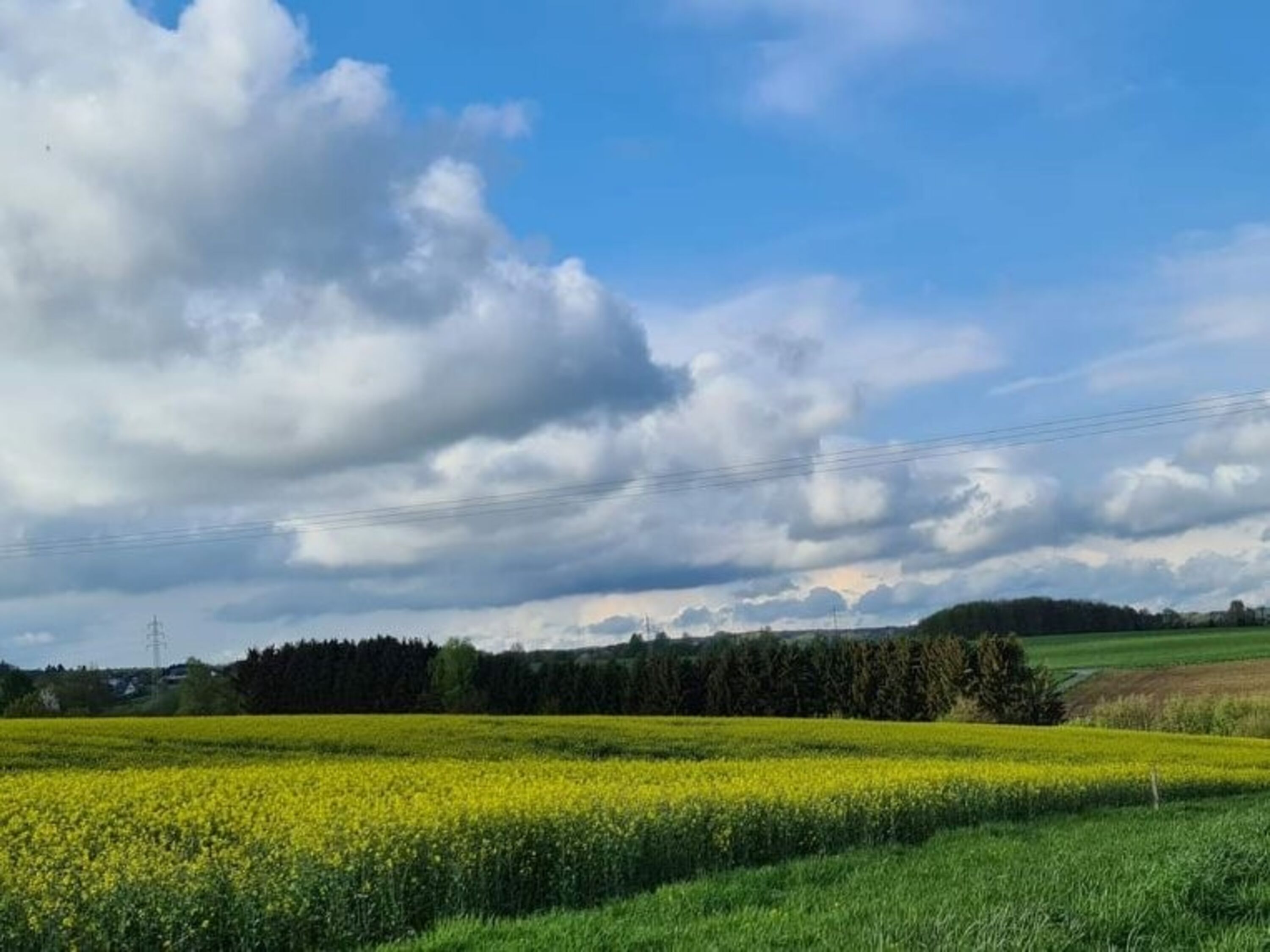 Felder direkt um die Ecke