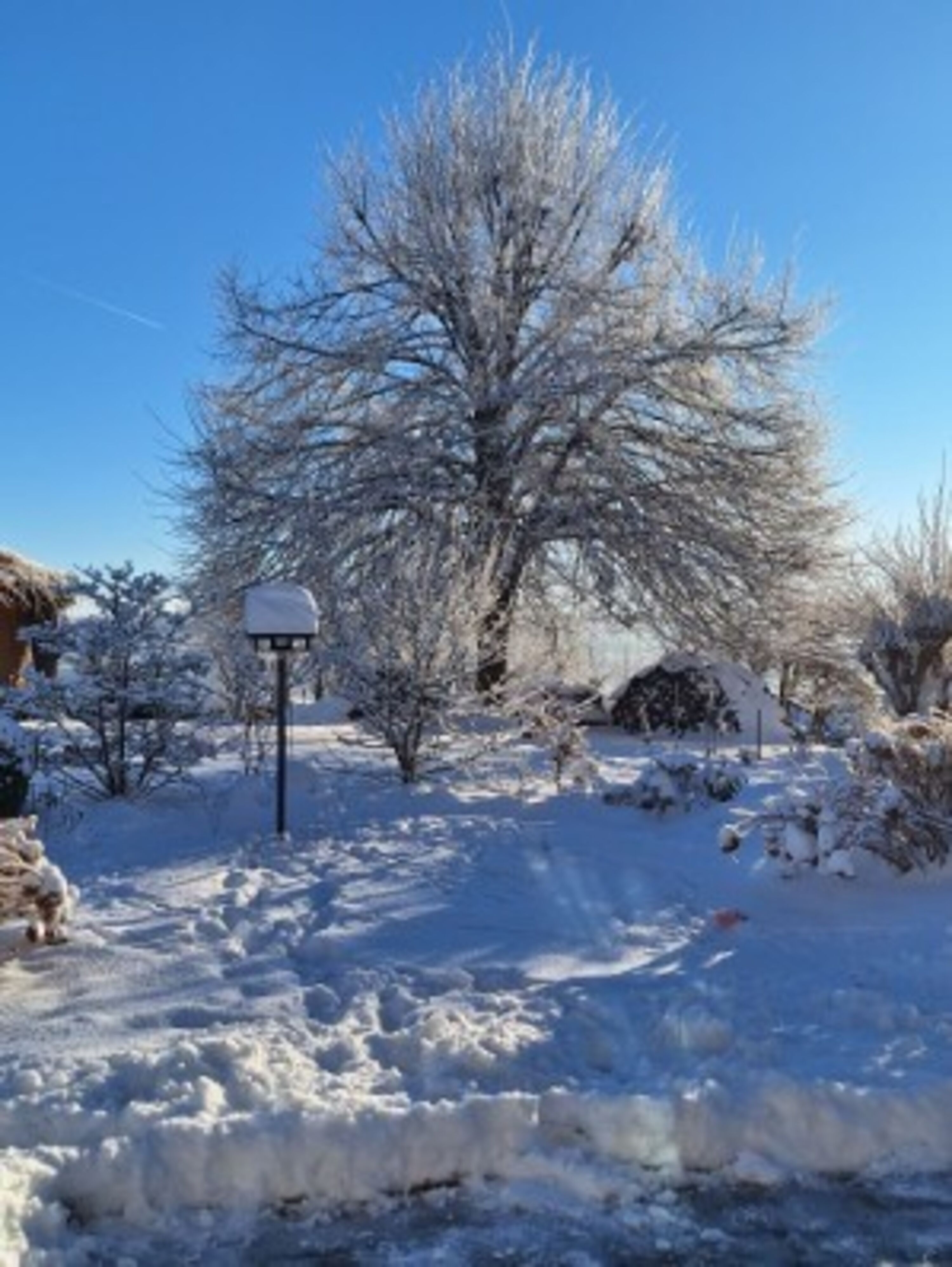 Garten im Winter
