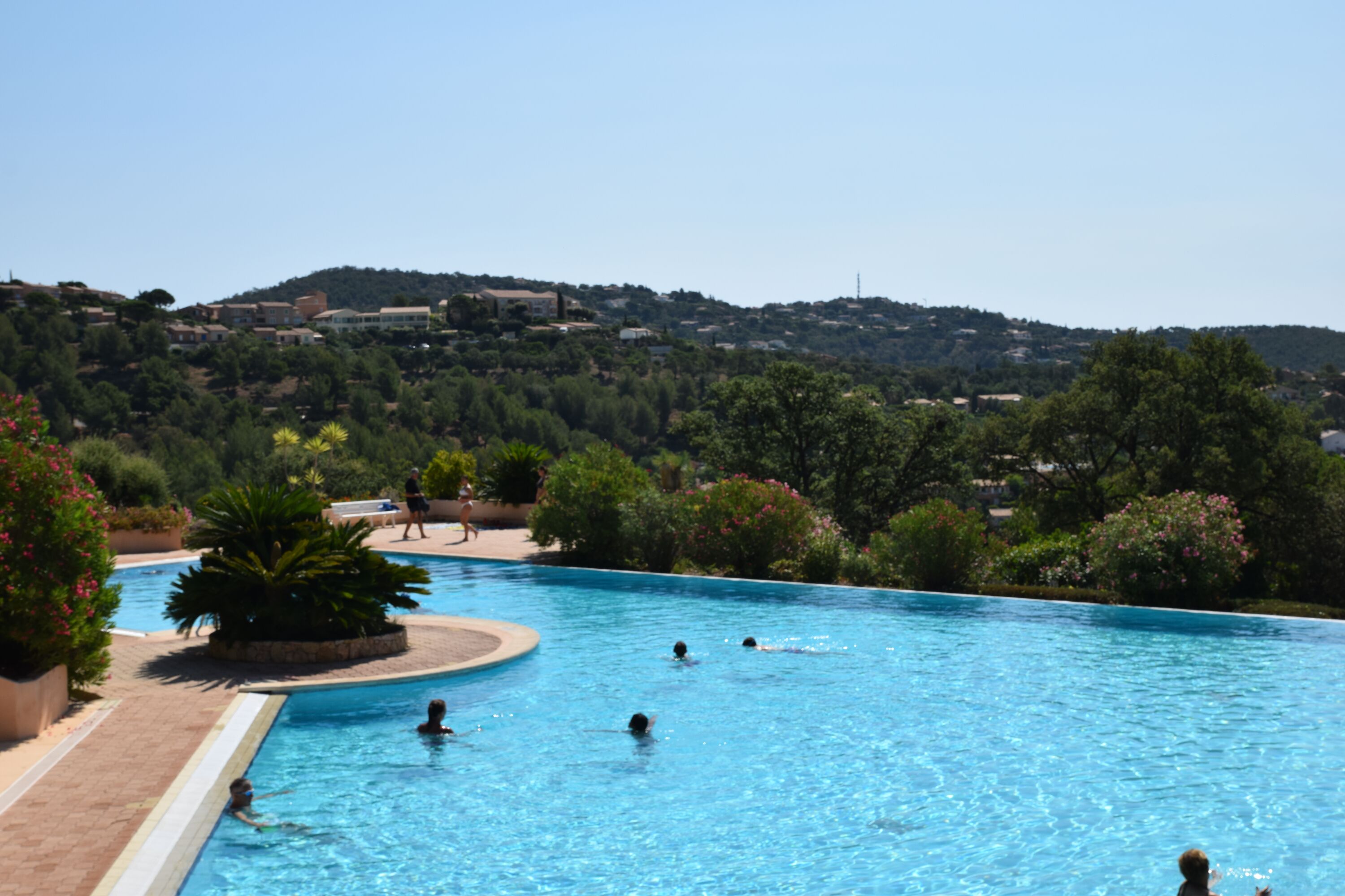 der Pool