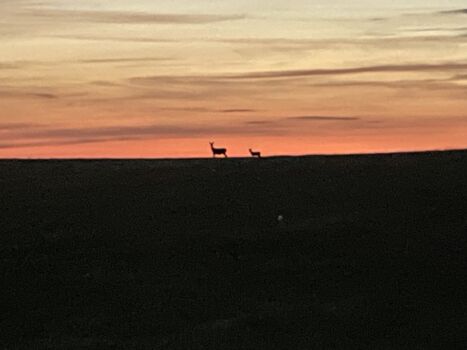 Morgenspaziergang
