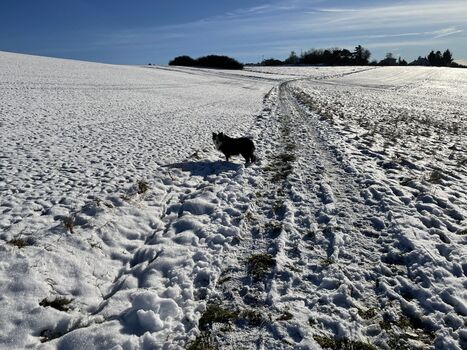 Bongard im Winter