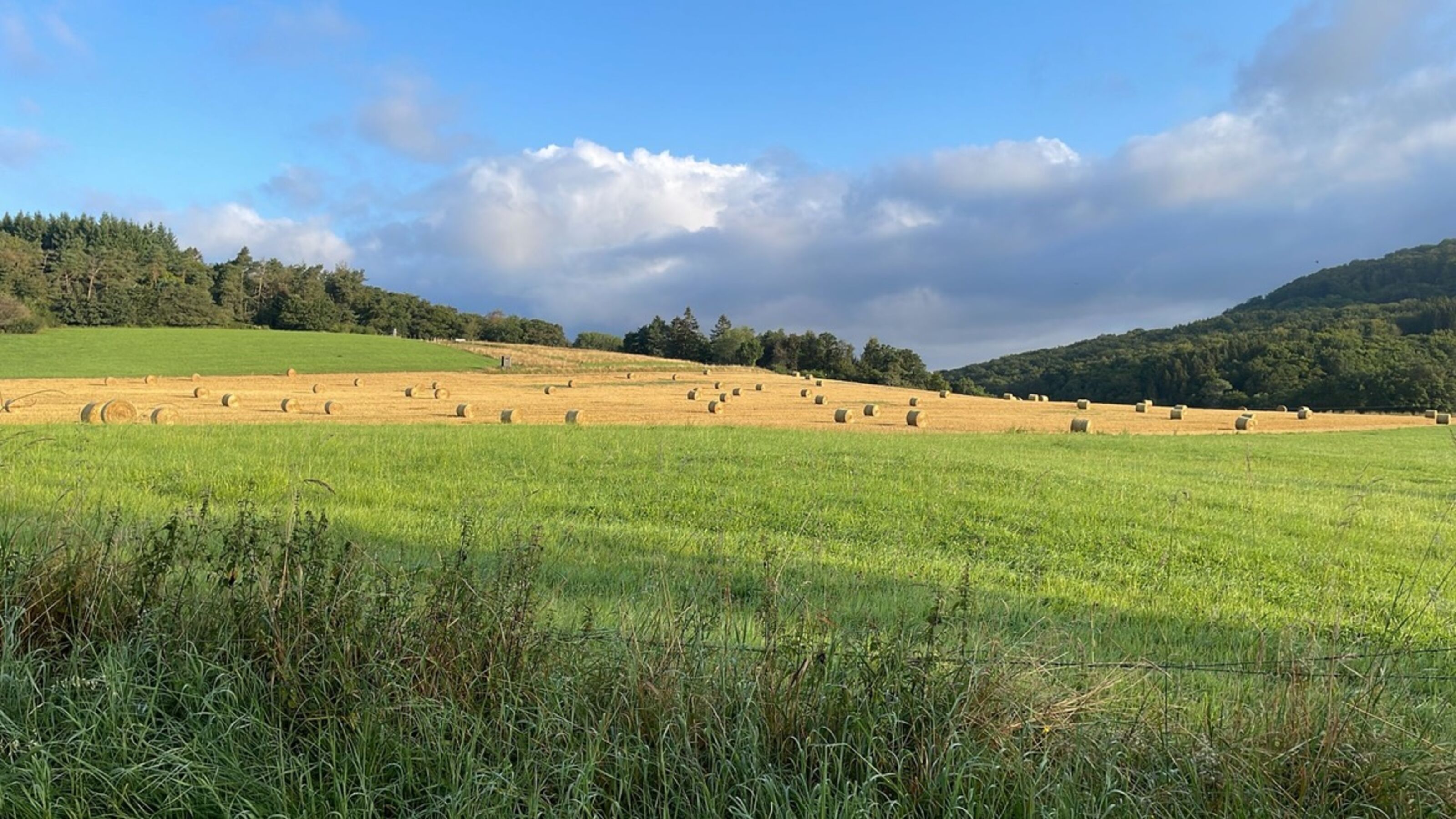 Spaziergang fußläufig