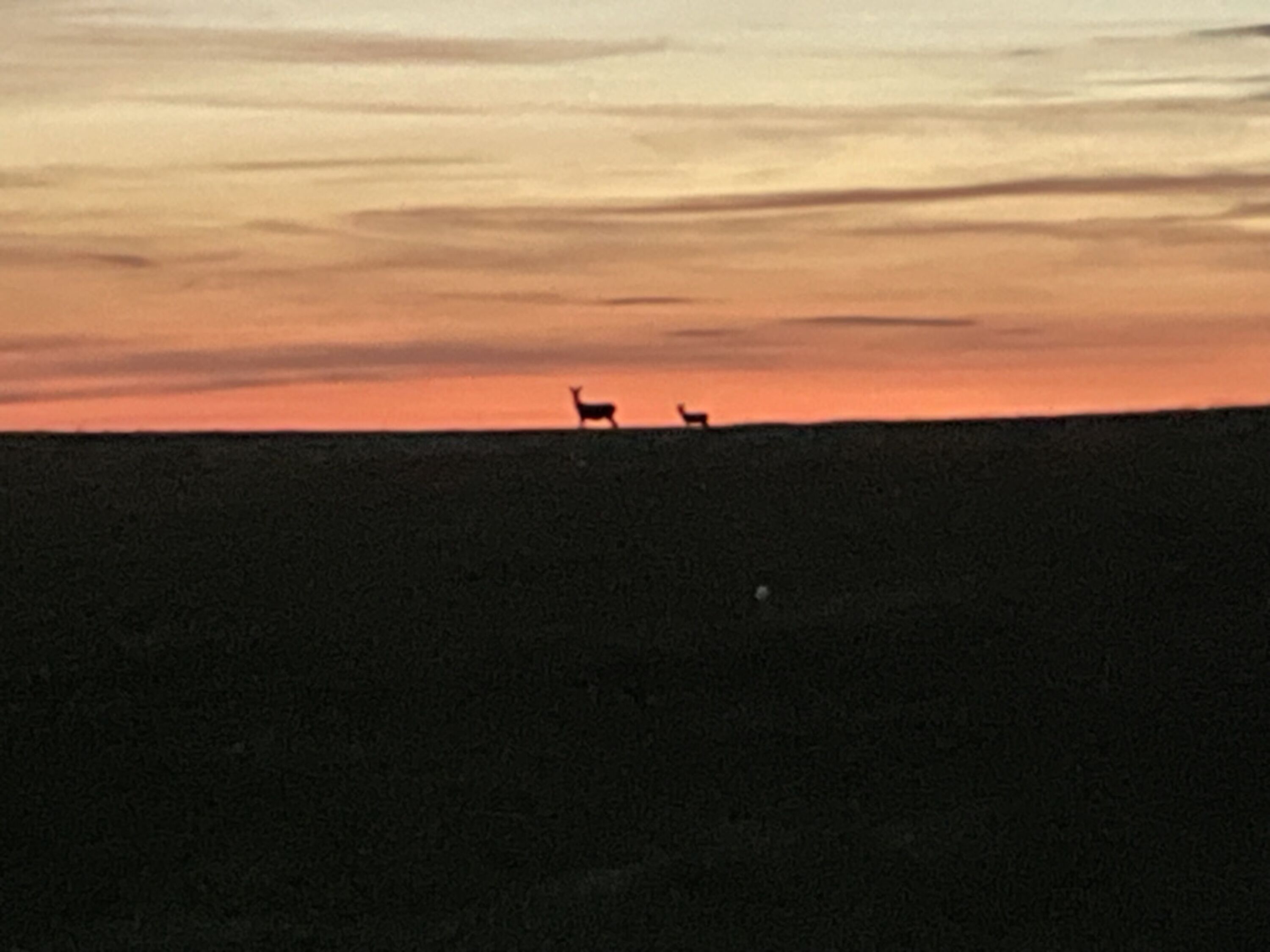 Morgenspaziergang
