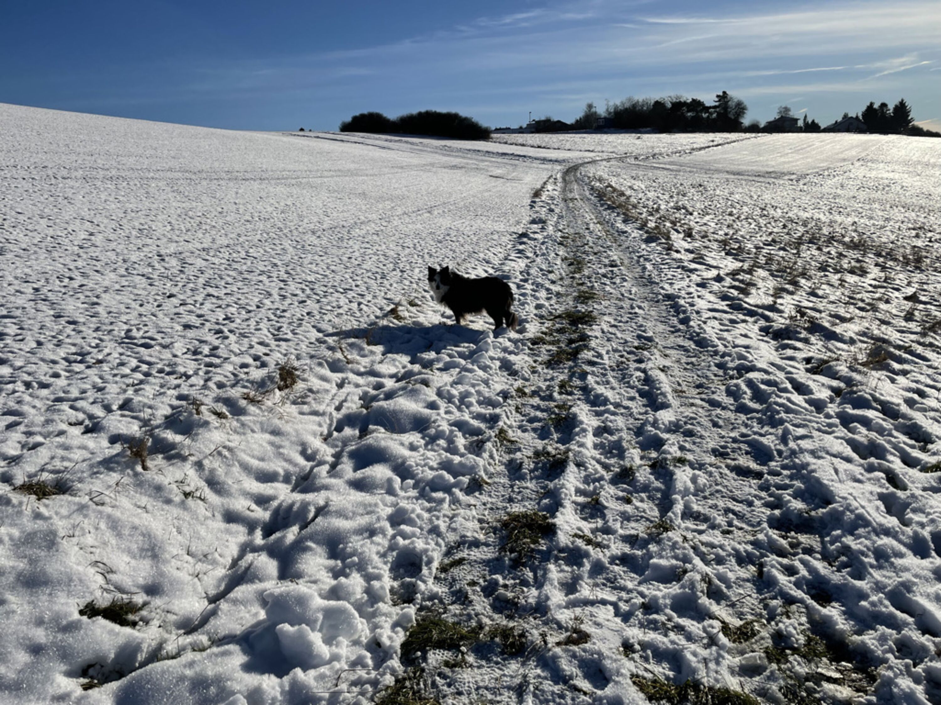 Bongard im Winter