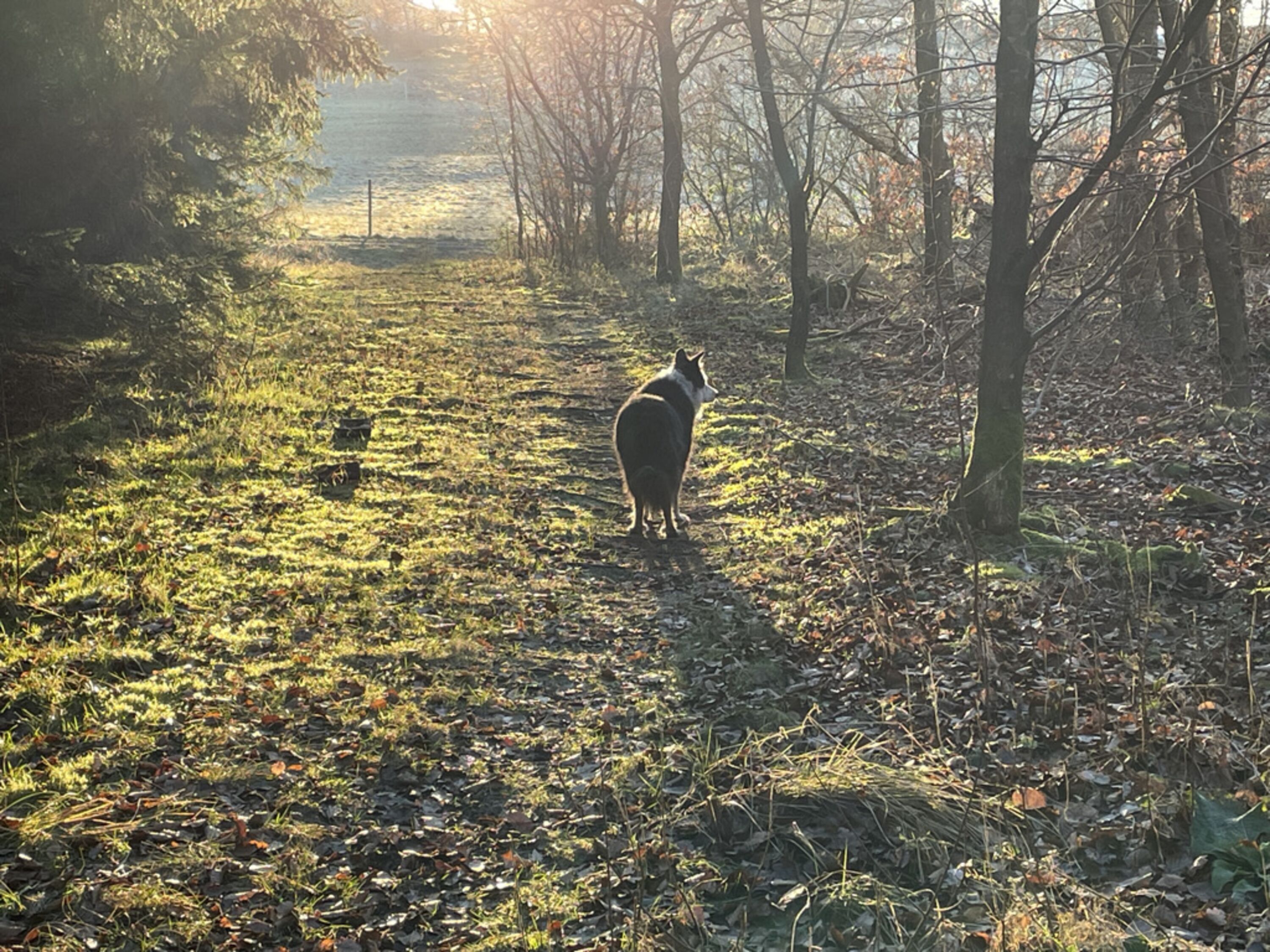 Spaziergang fußläufig
