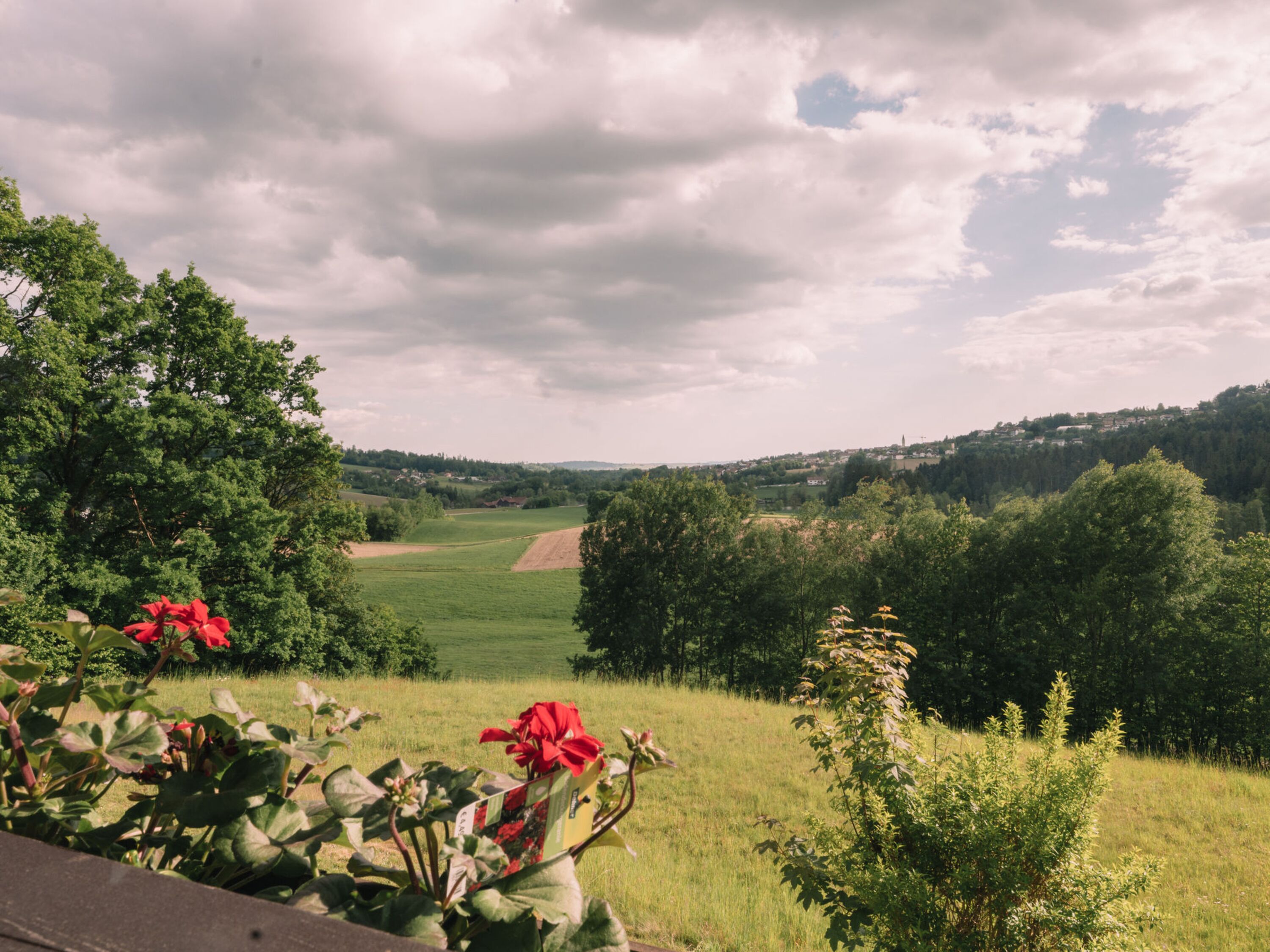 Wiesen, Wälder und Spazierwege beginnen direkt vor der Tür Perfekt für gemeinsame Auszeiten mit Hund.