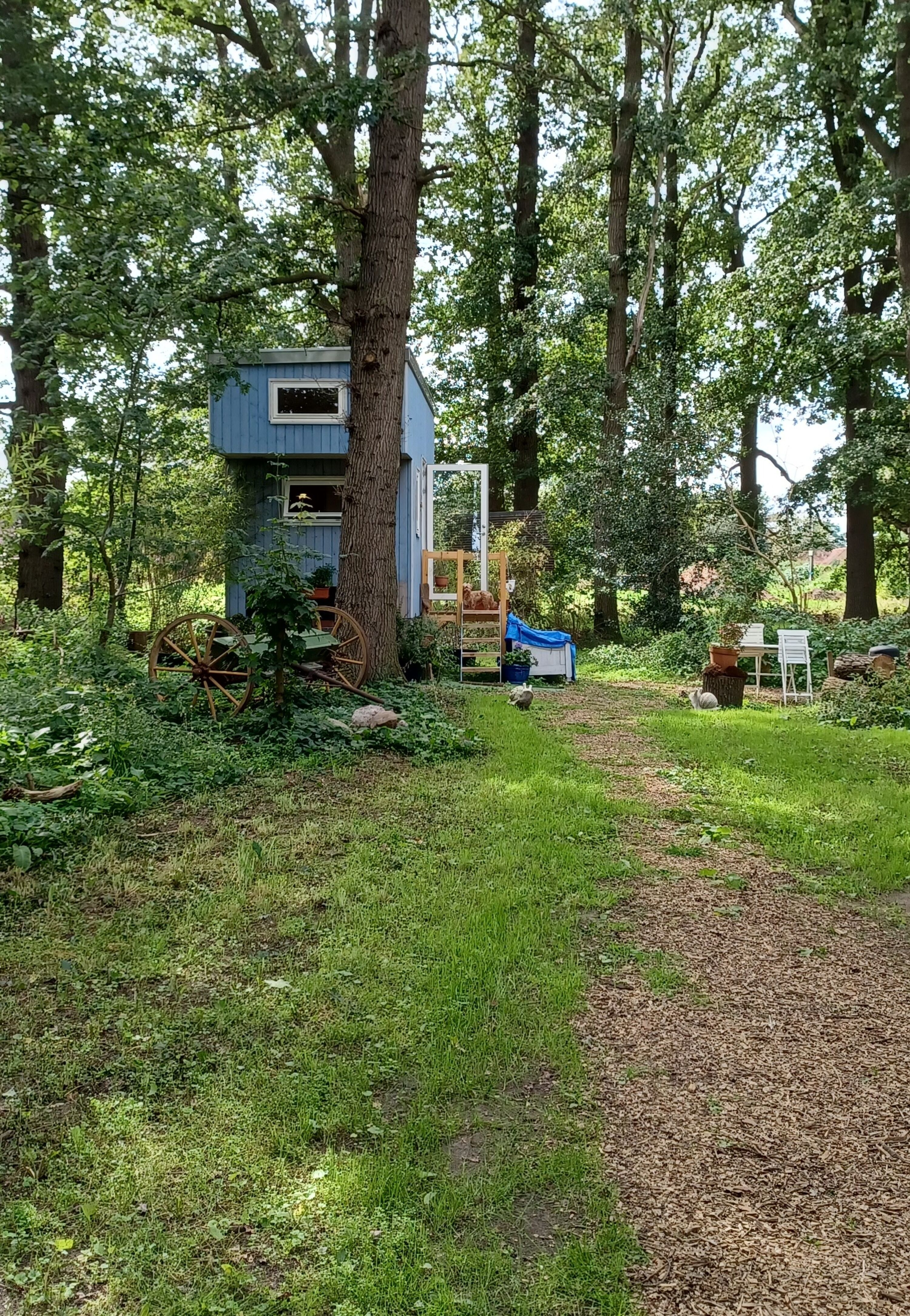 Bild 4