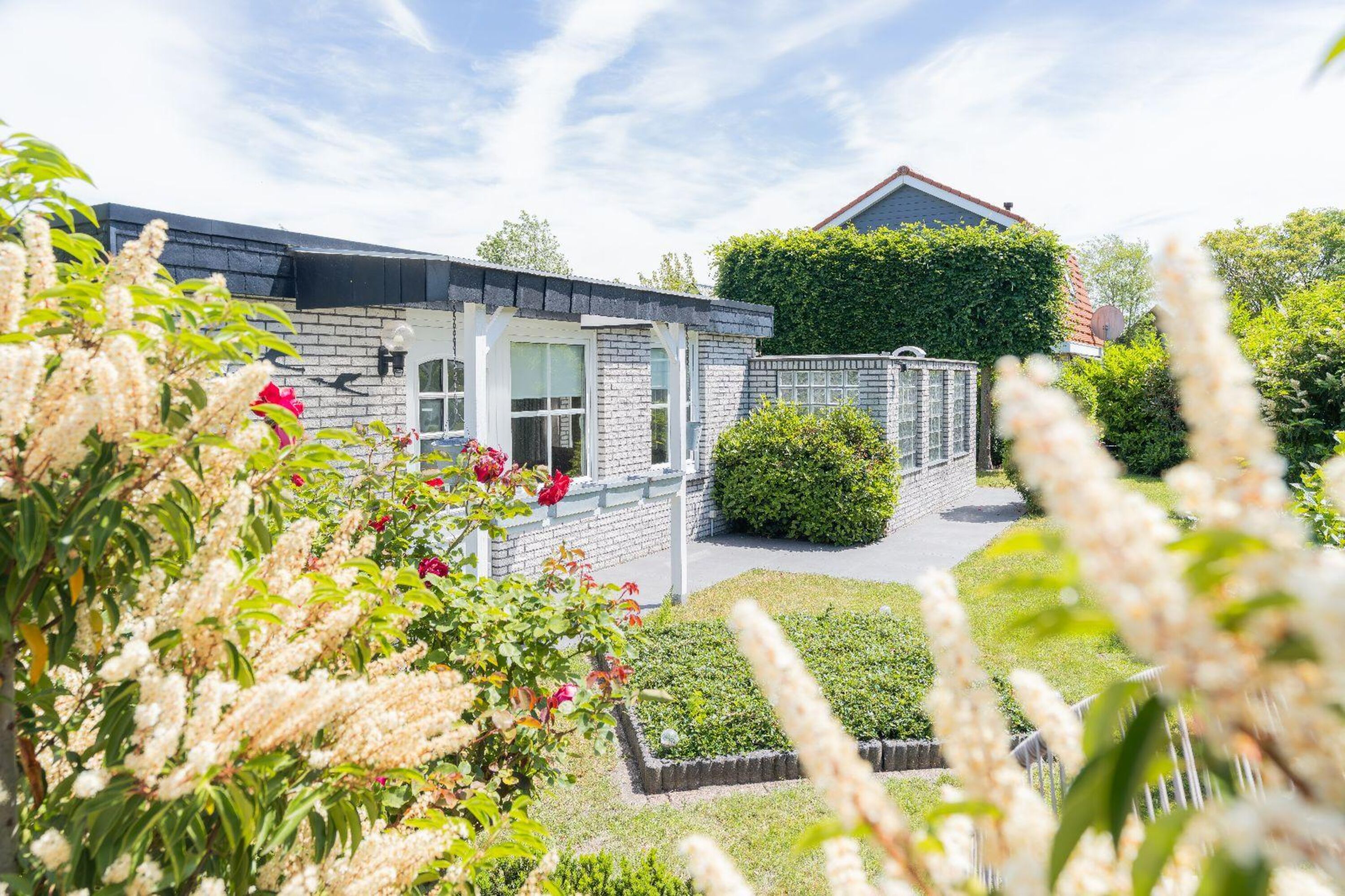Der grüne, sonnige Garten