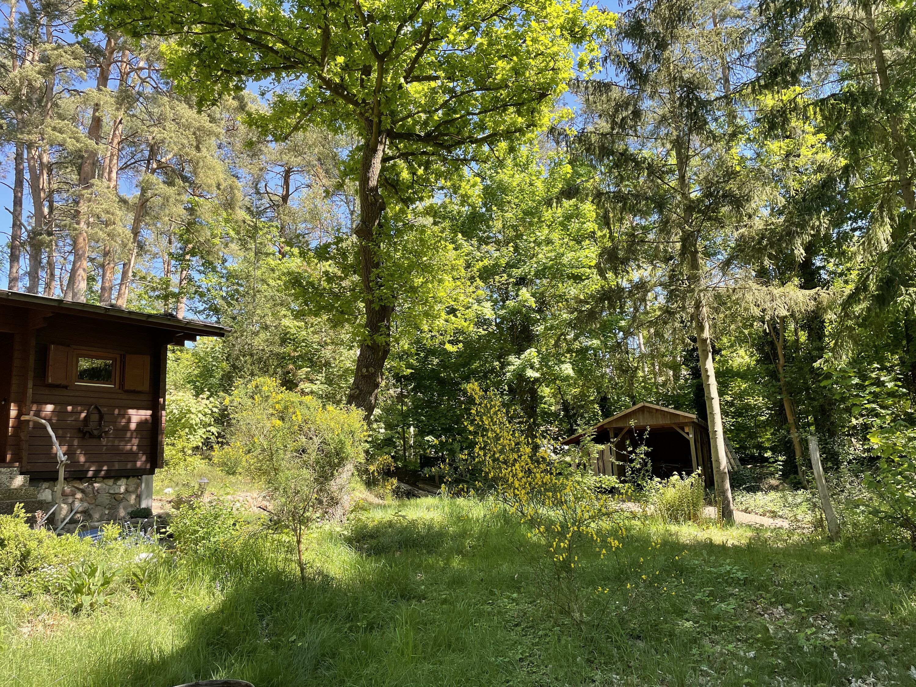 Bild 8