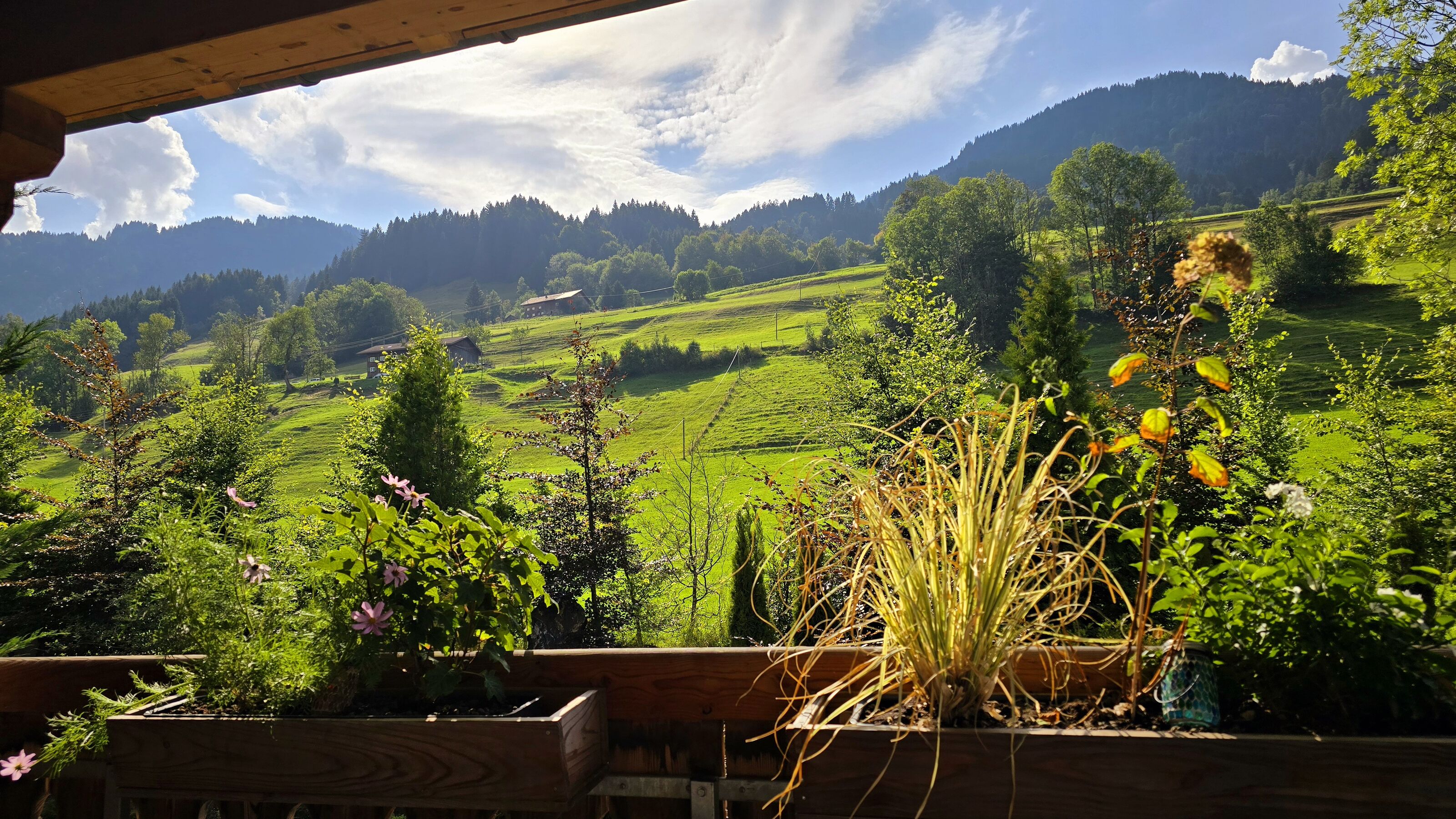 Blick von Veranda nach Westen auf umliegend Almen