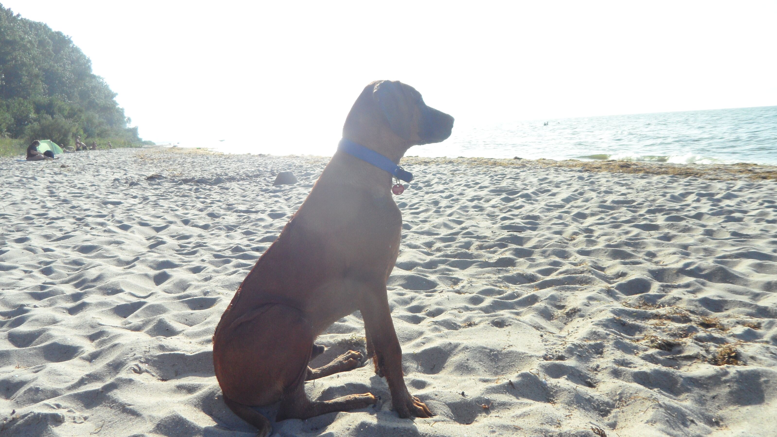 Hundestrand am Teufelstein Lubminin