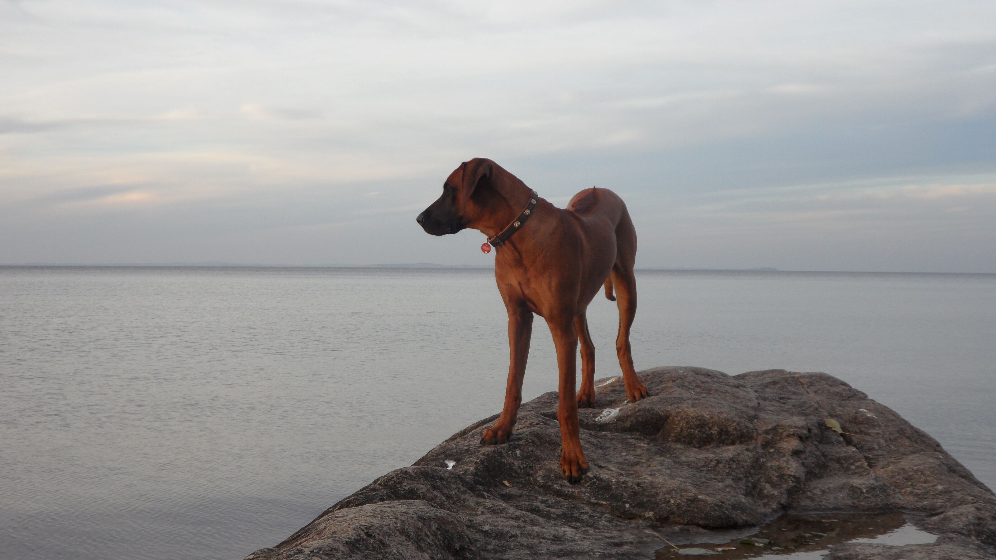 Hundestrand am Teufelstein