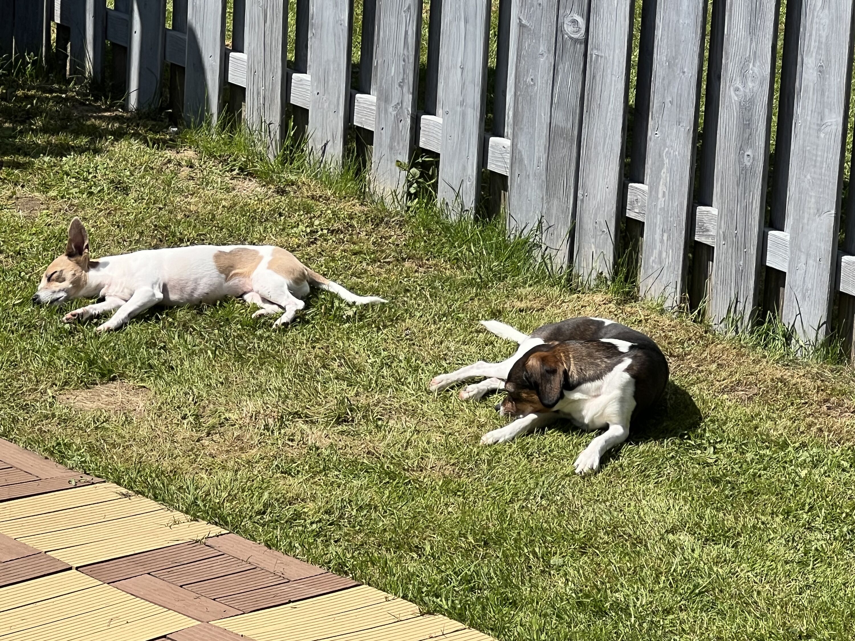 Chillen im Garten