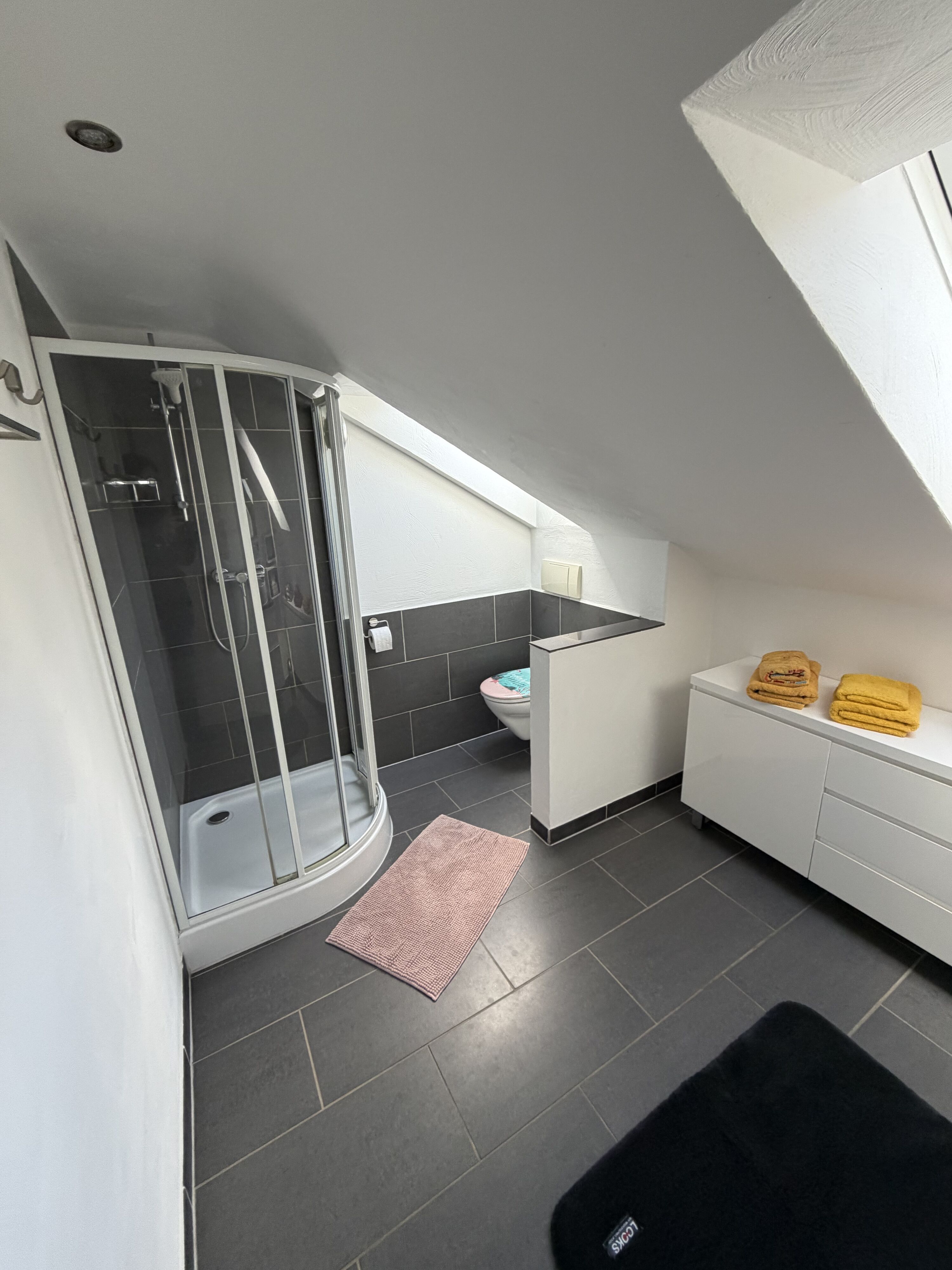 Bad mit Dusche und Toilette