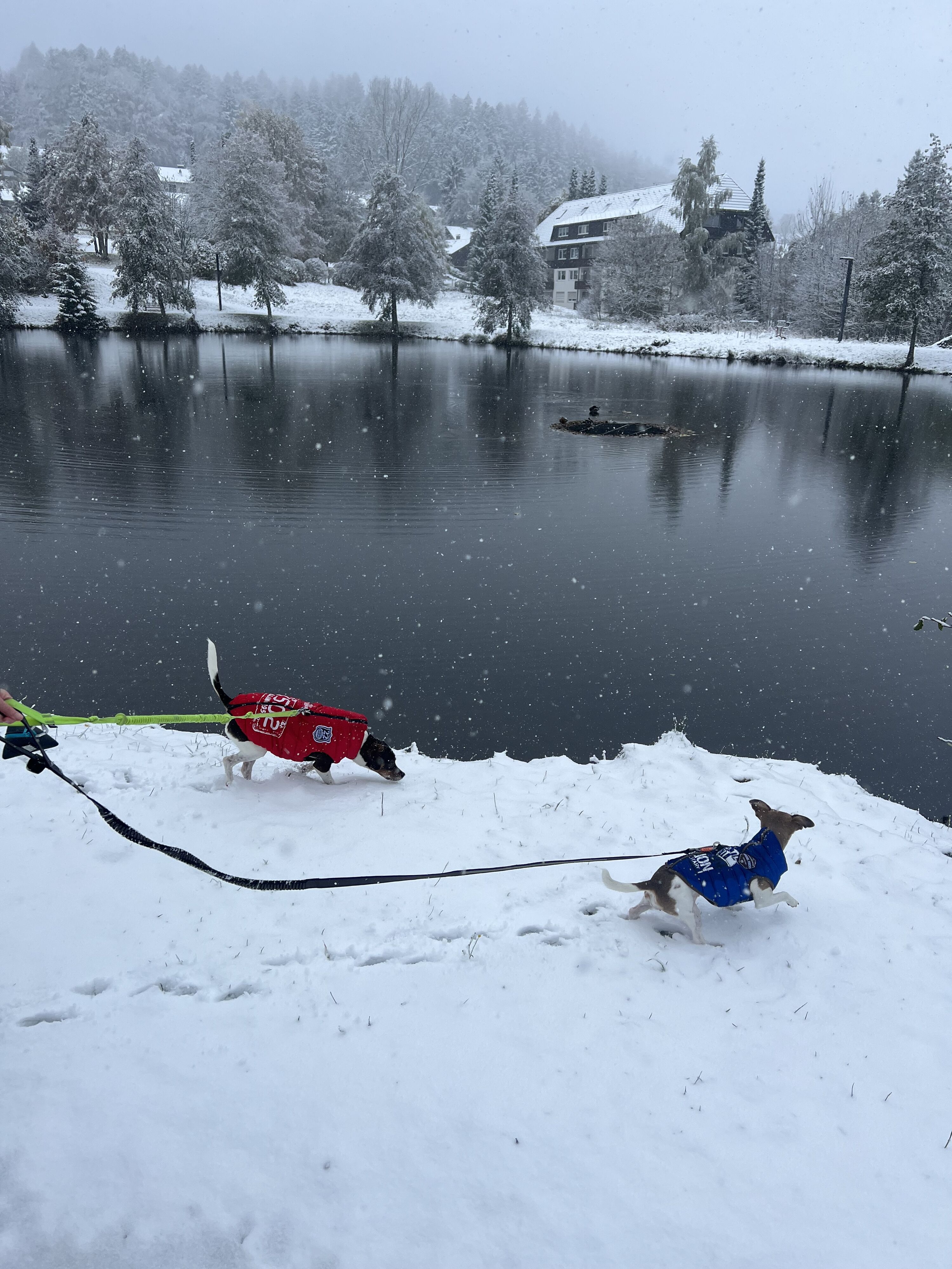 Am kleinen See unterhalb des Ferienhauses
