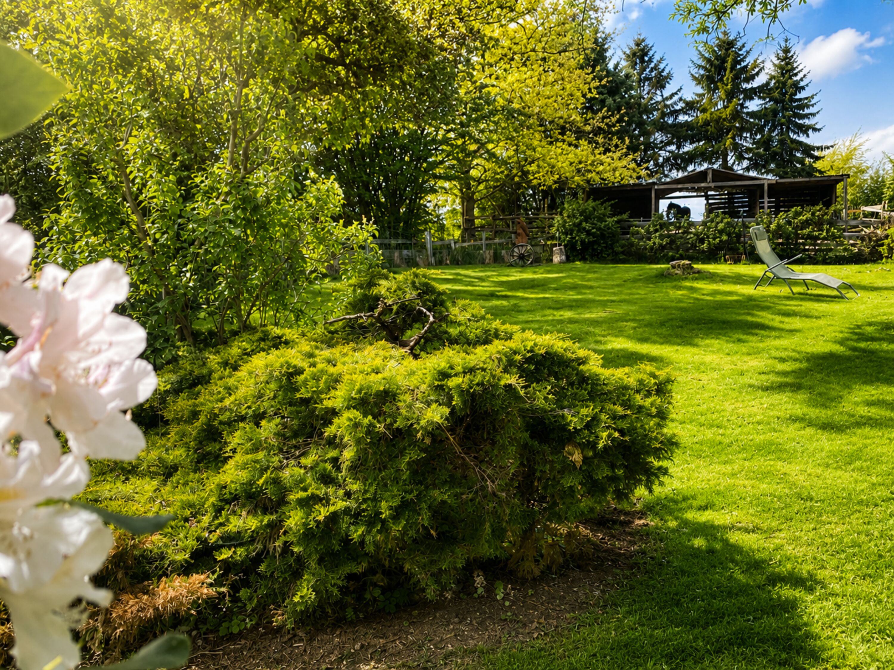 Gemeinschaftsgarten