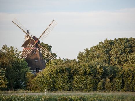 Mühle Charlotte/ Geltinger Birk