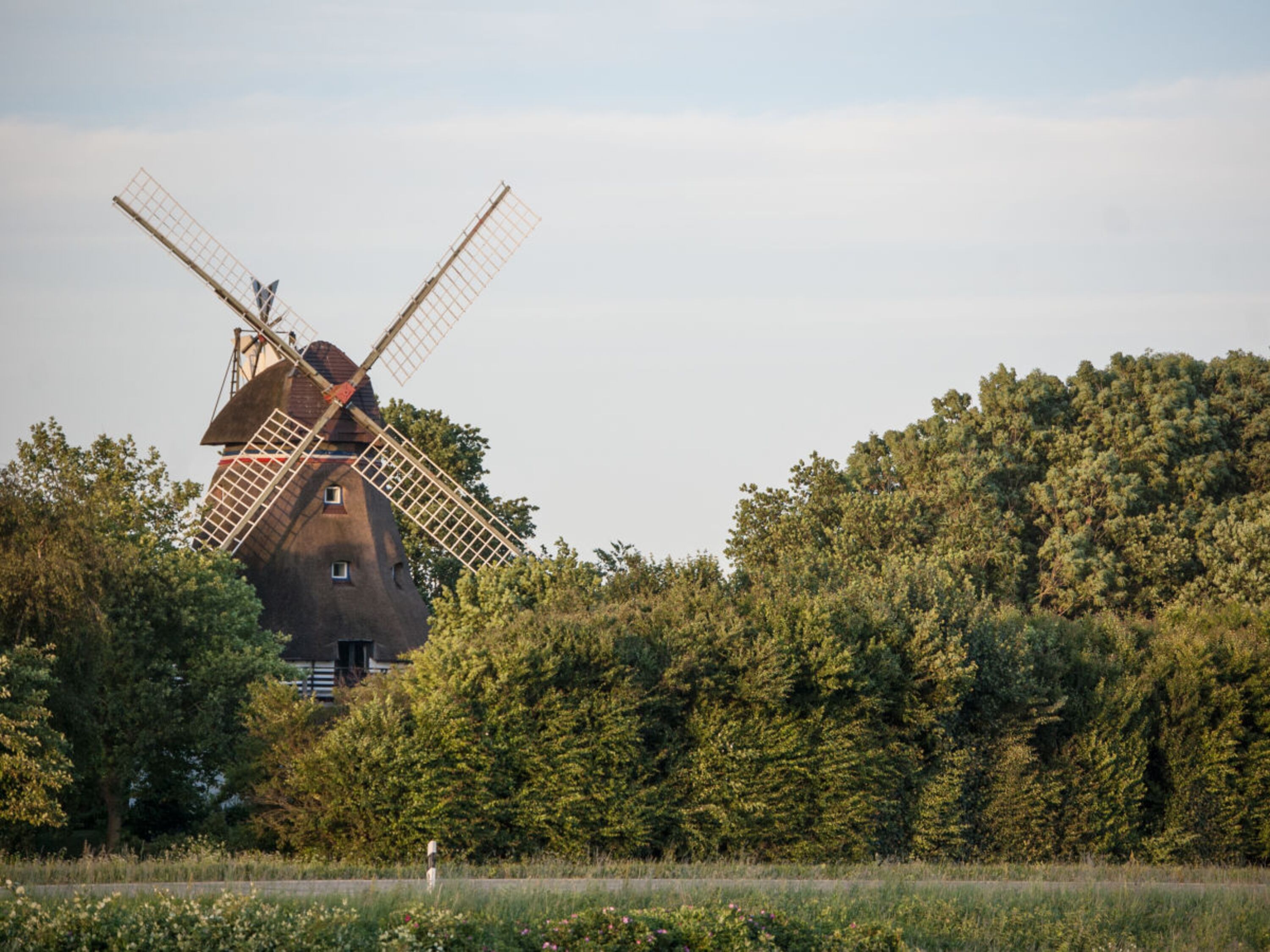 Mühle Charlotte/ Geltinger Birk