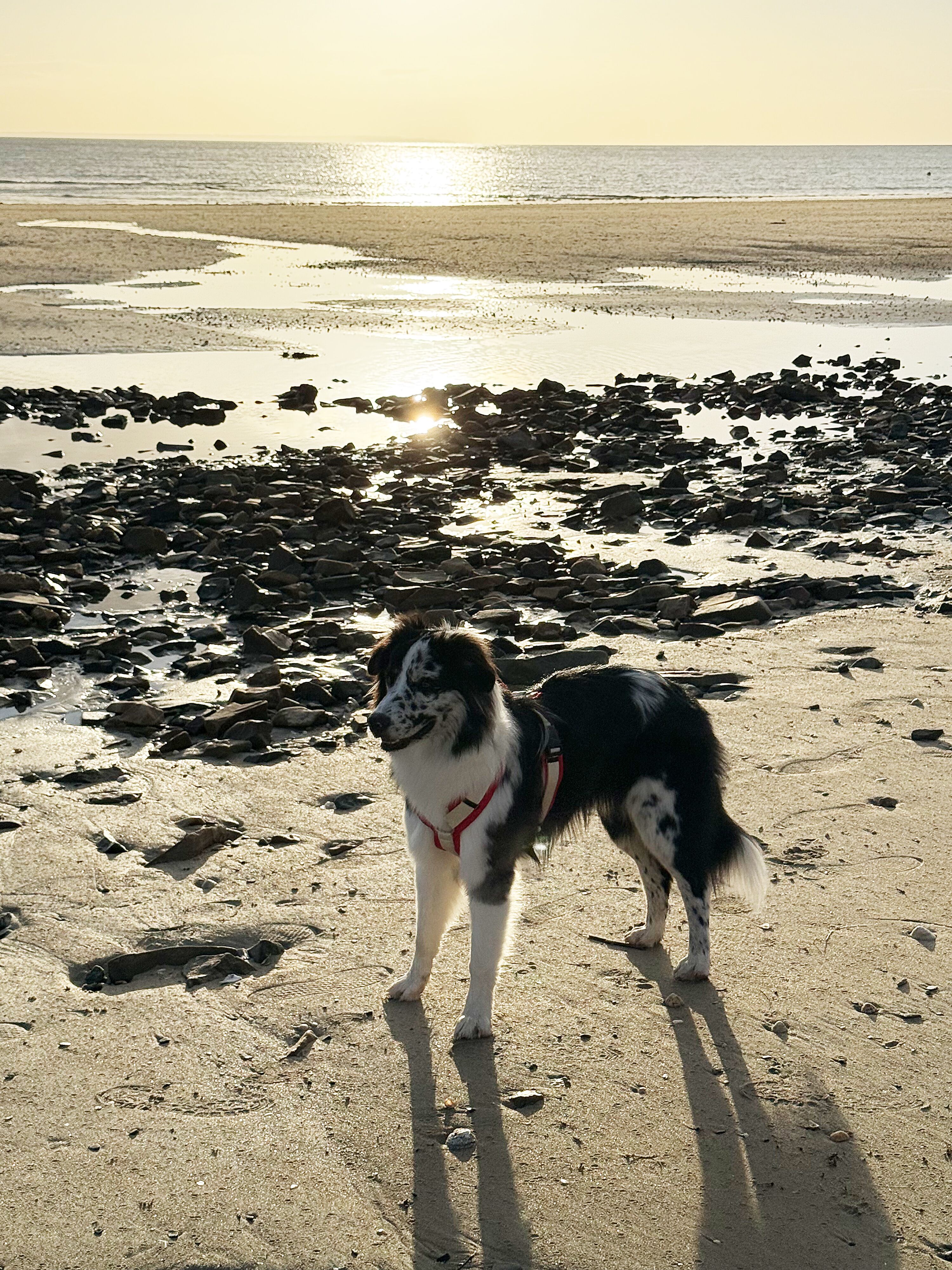 Saint-Germain-sur-Ay plage