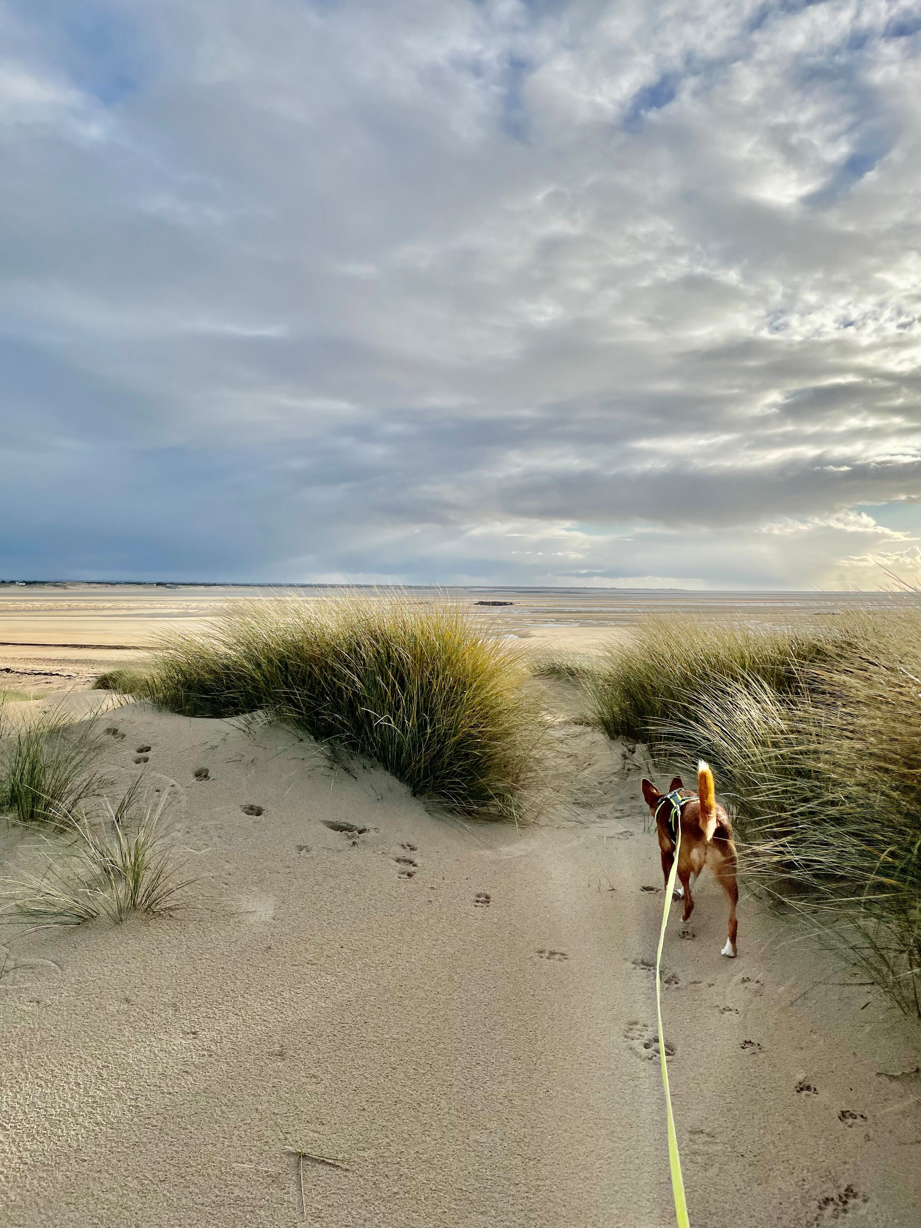 Saint-Germain-sur-Ay plage