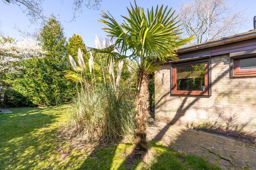 Der große, eingezäunte Garten