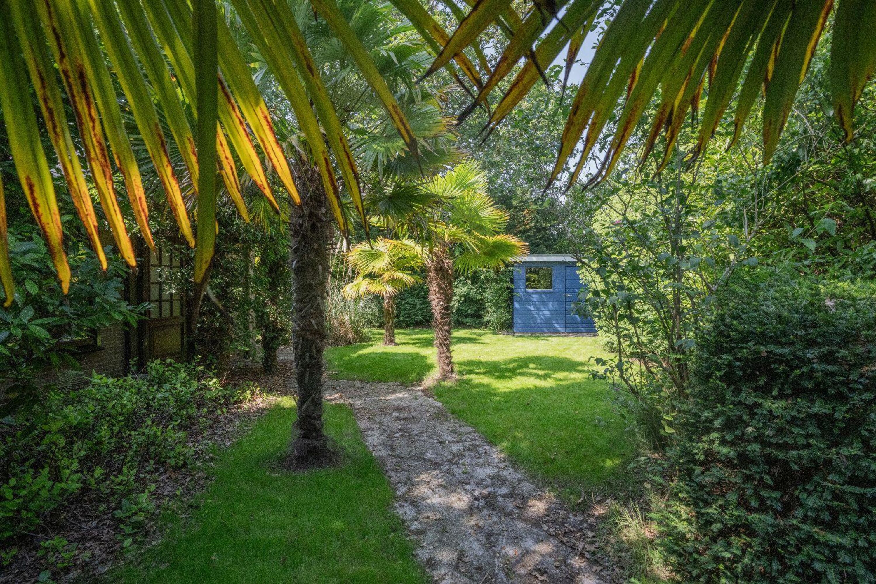 Der große, eingezäunte Garten mit Schuppen
