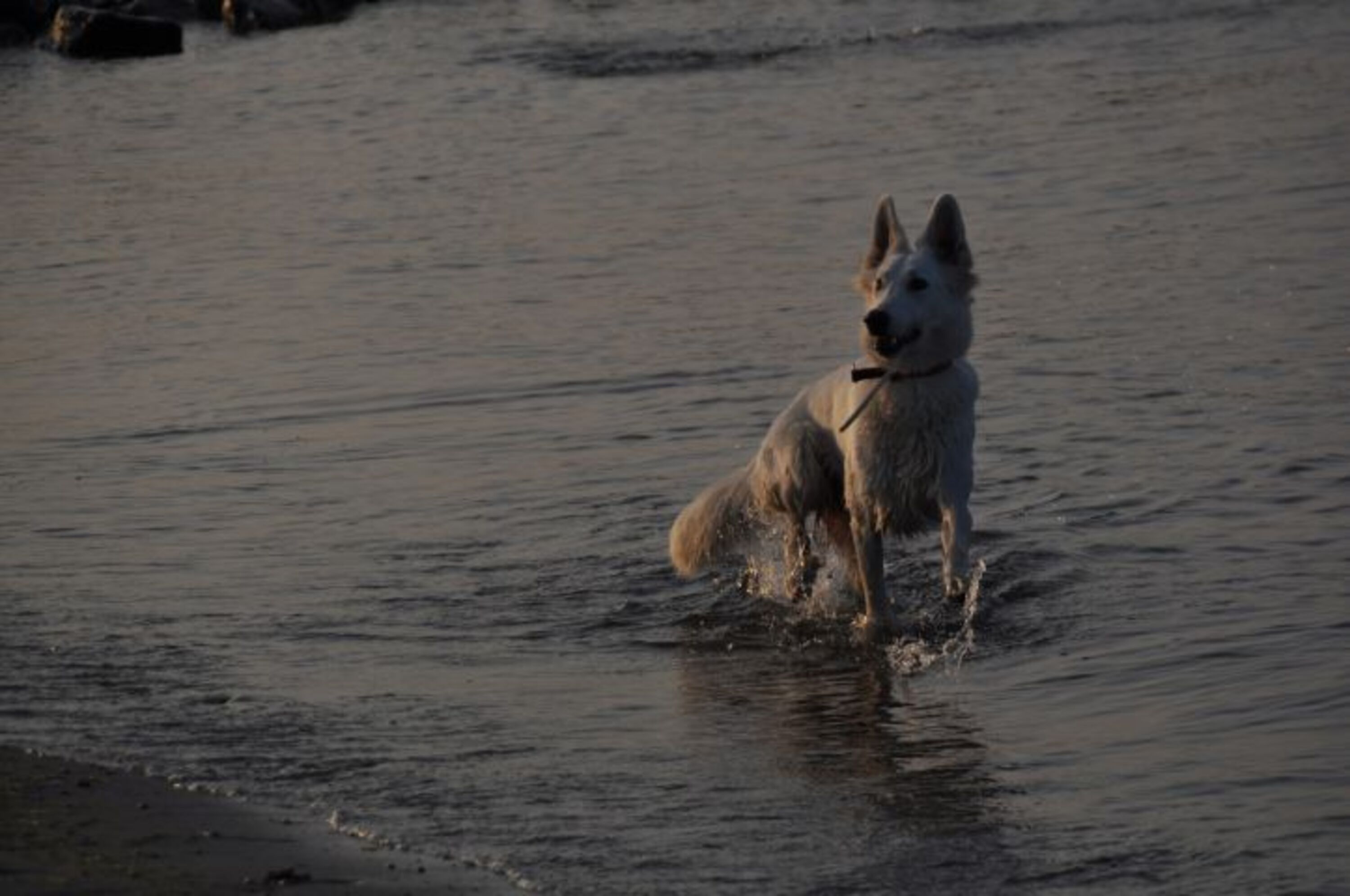 Bild 16