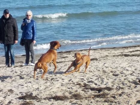 Von Oktober bis April