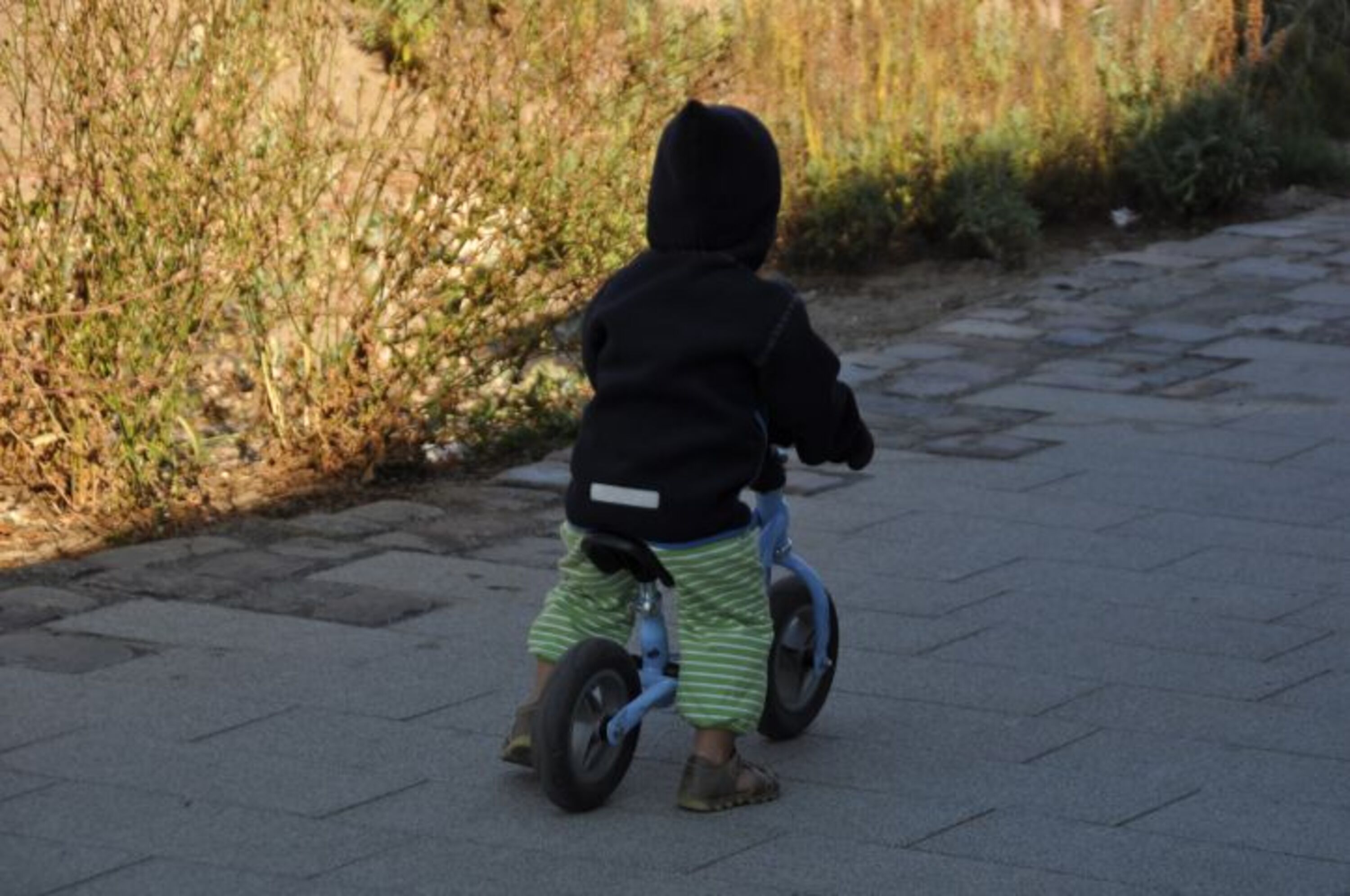 Bild 18
