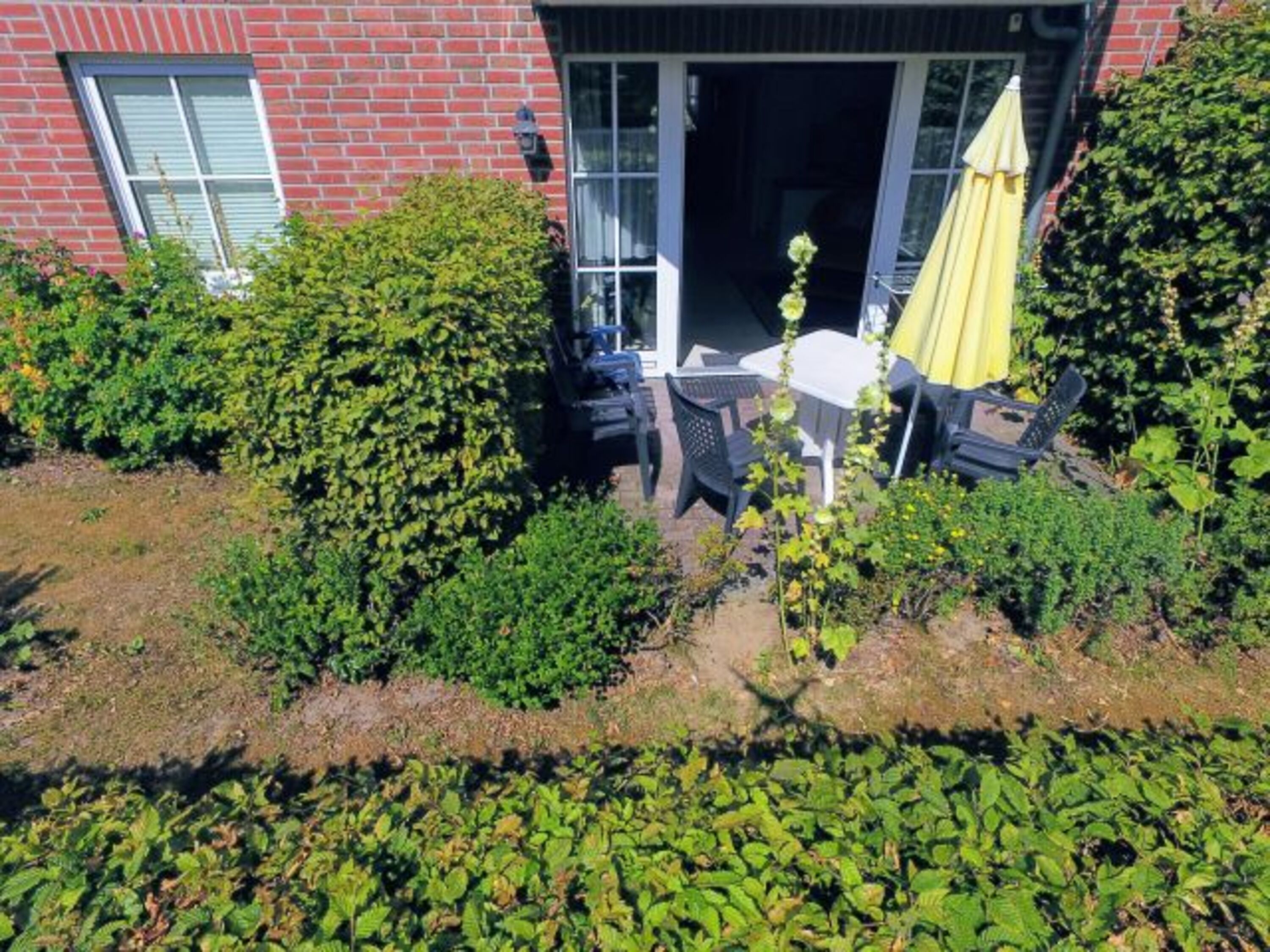 Bild 15