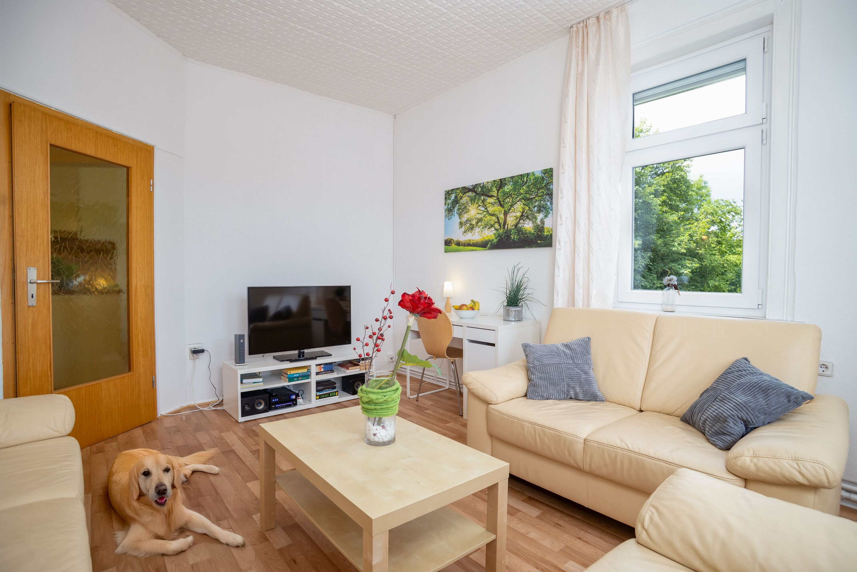 gemütliches Wohnzimmer mit TV