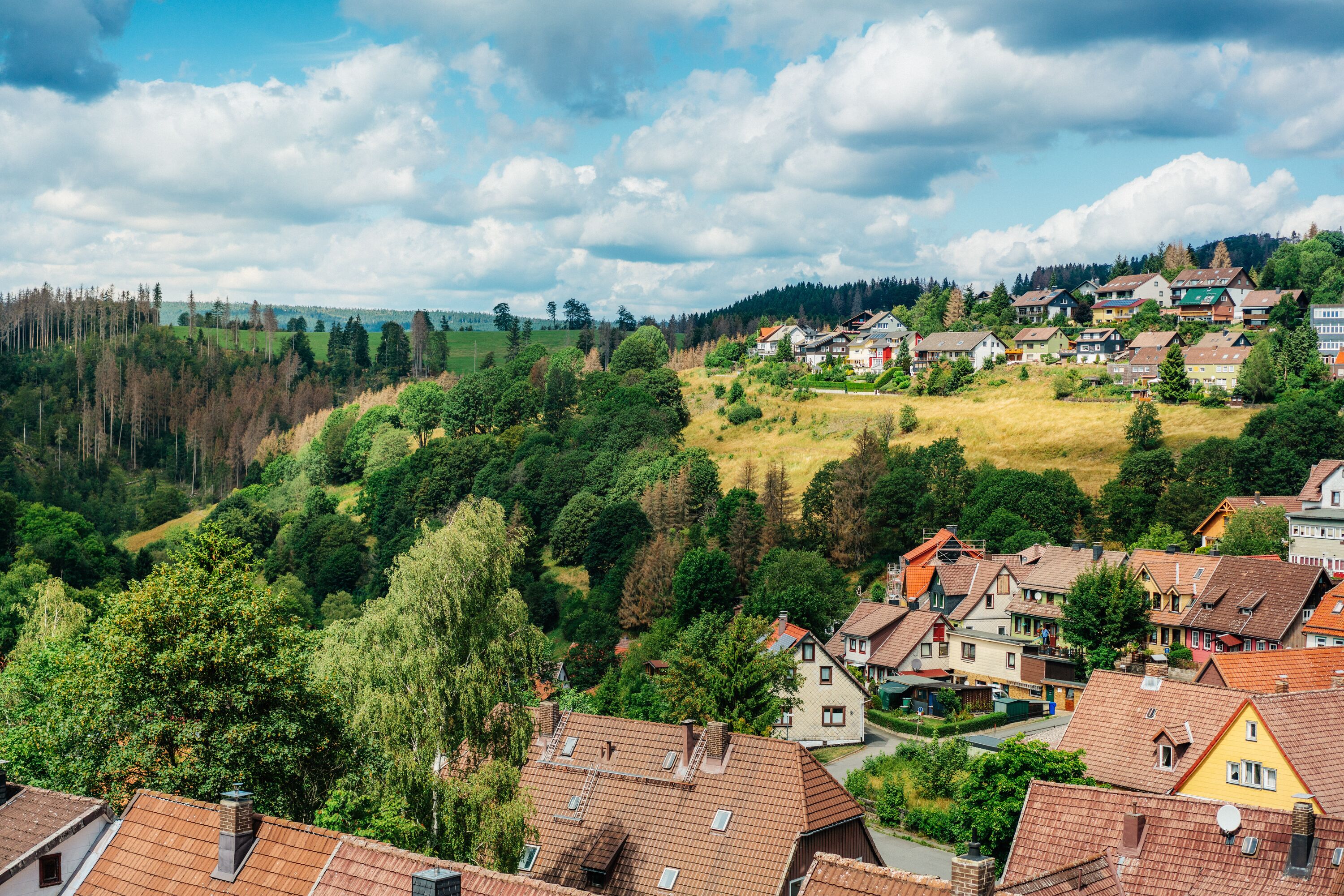 Ausblick auf St. Andreasberg