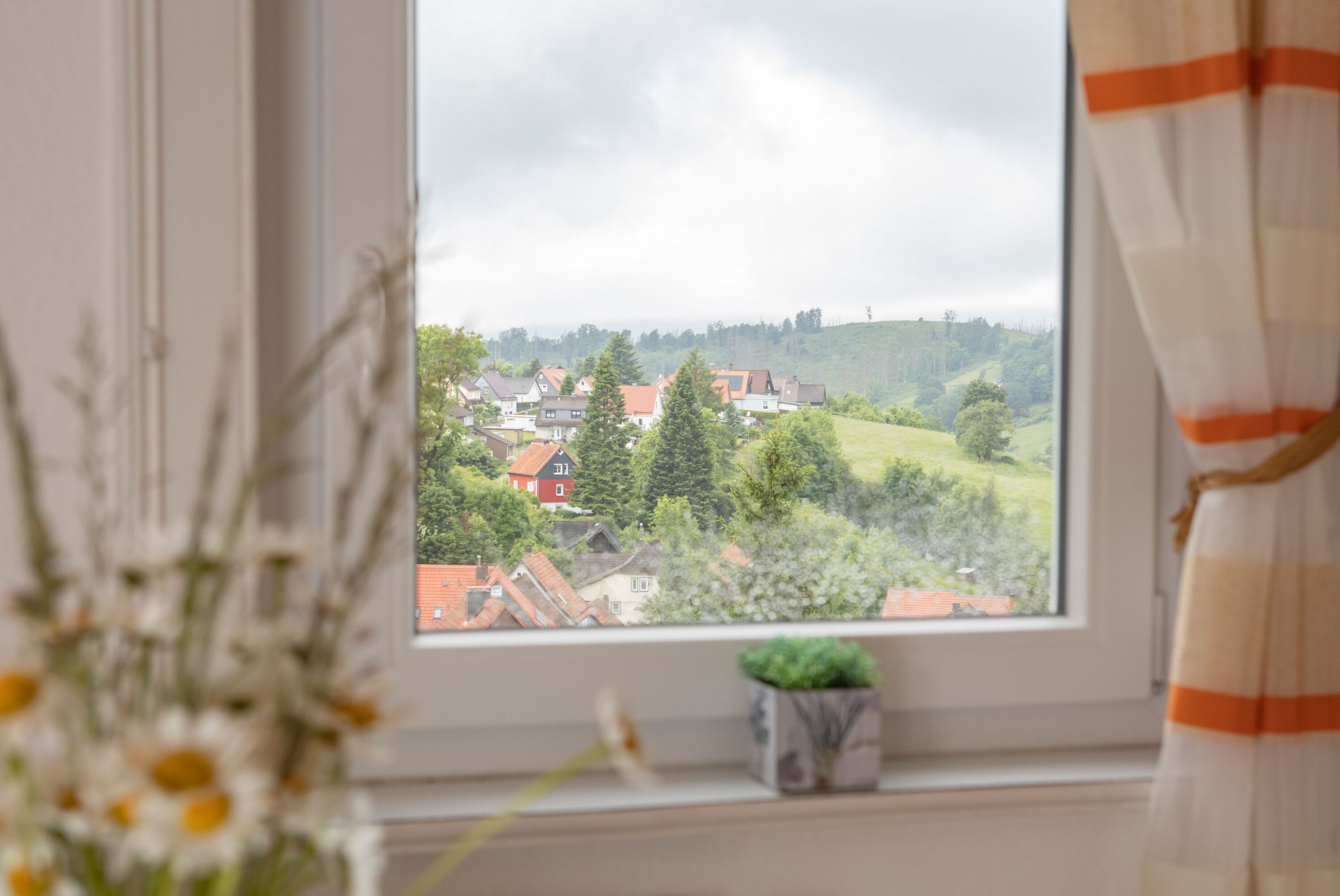Ausblick auf die Berge des Oberharz