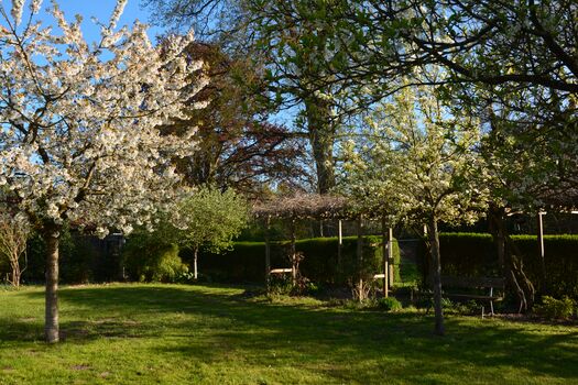 Obstwiese