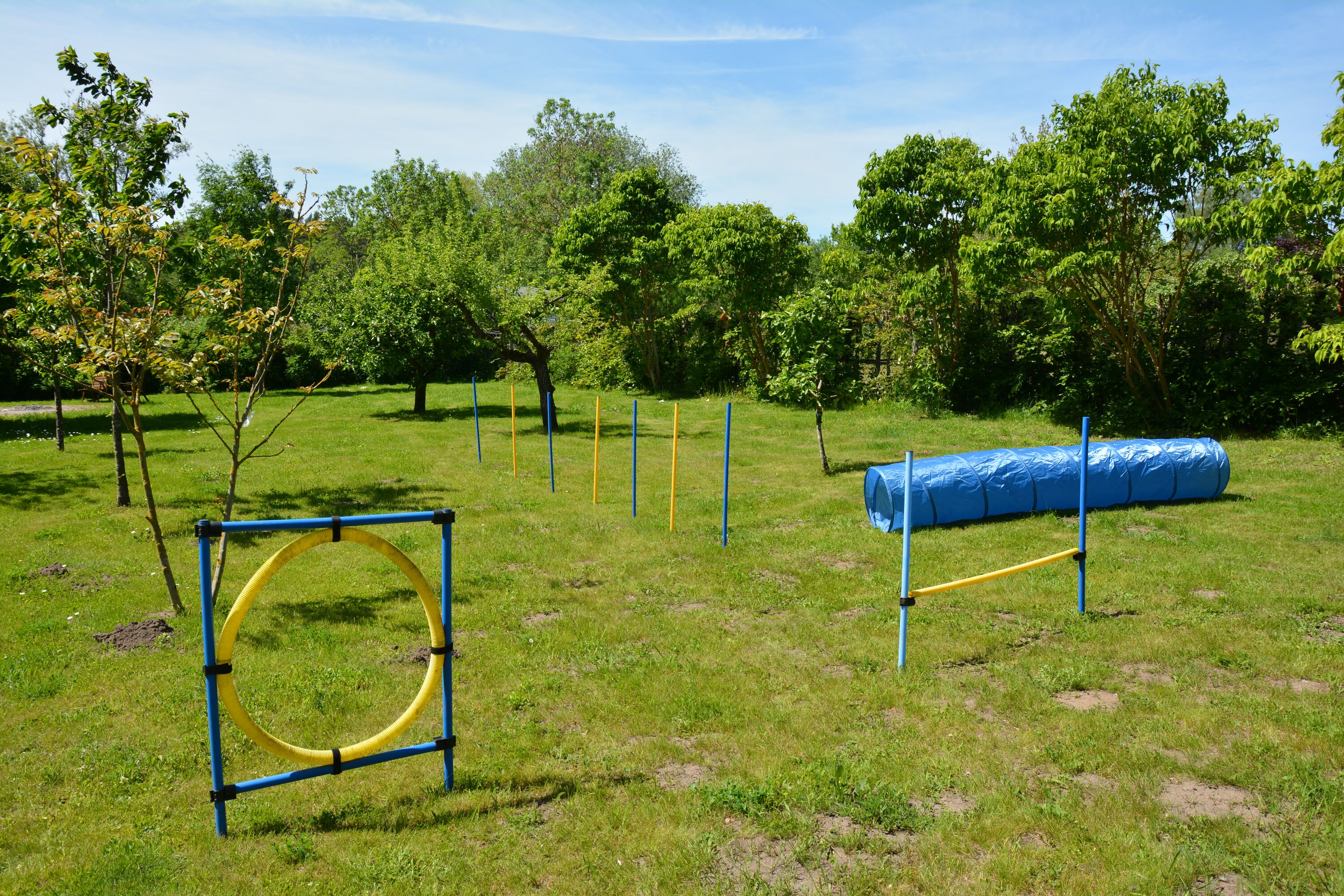 Obstwiese mit Agility
