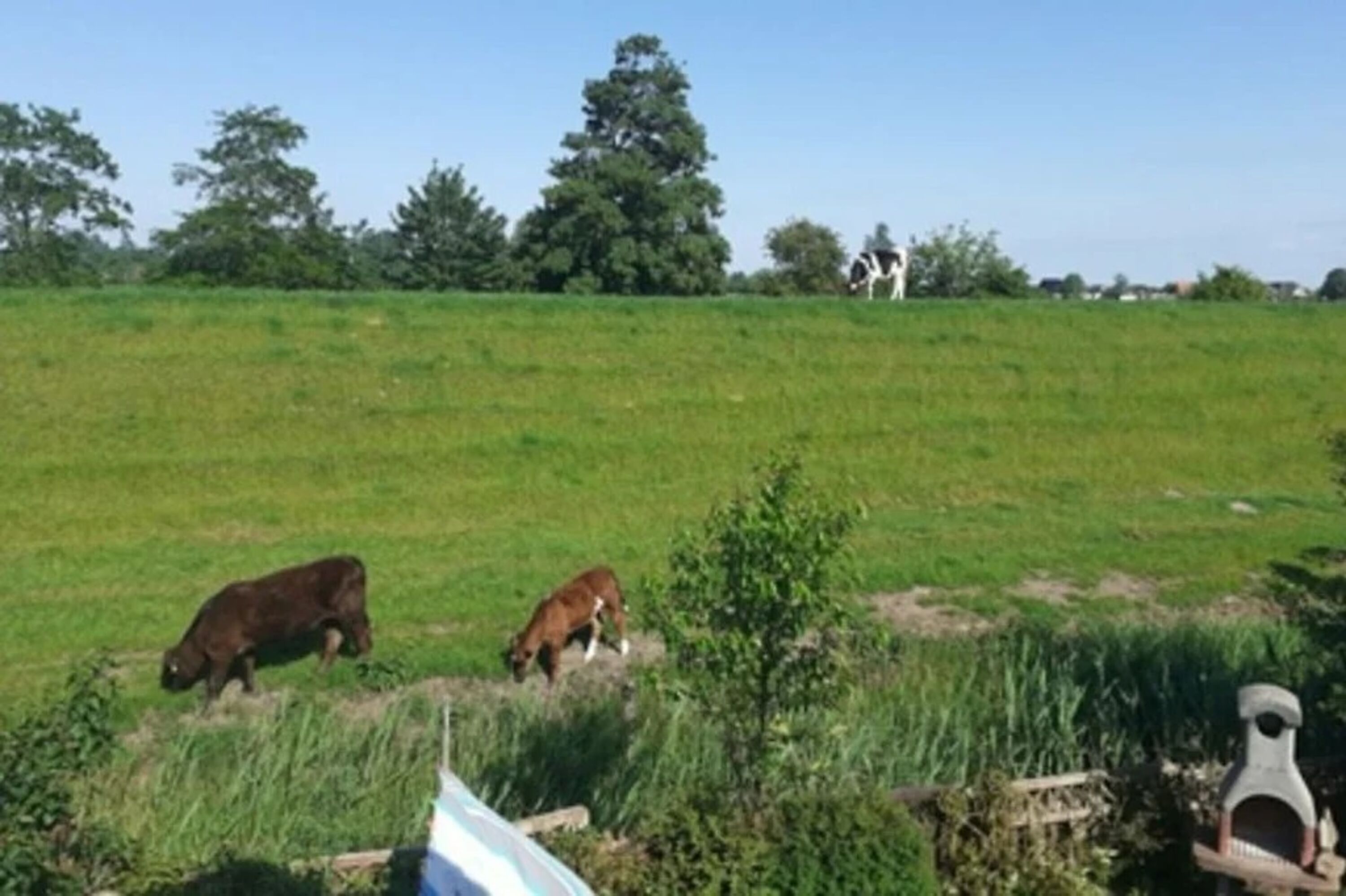 Blick auf den Deich