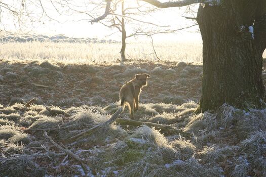 Natur pur