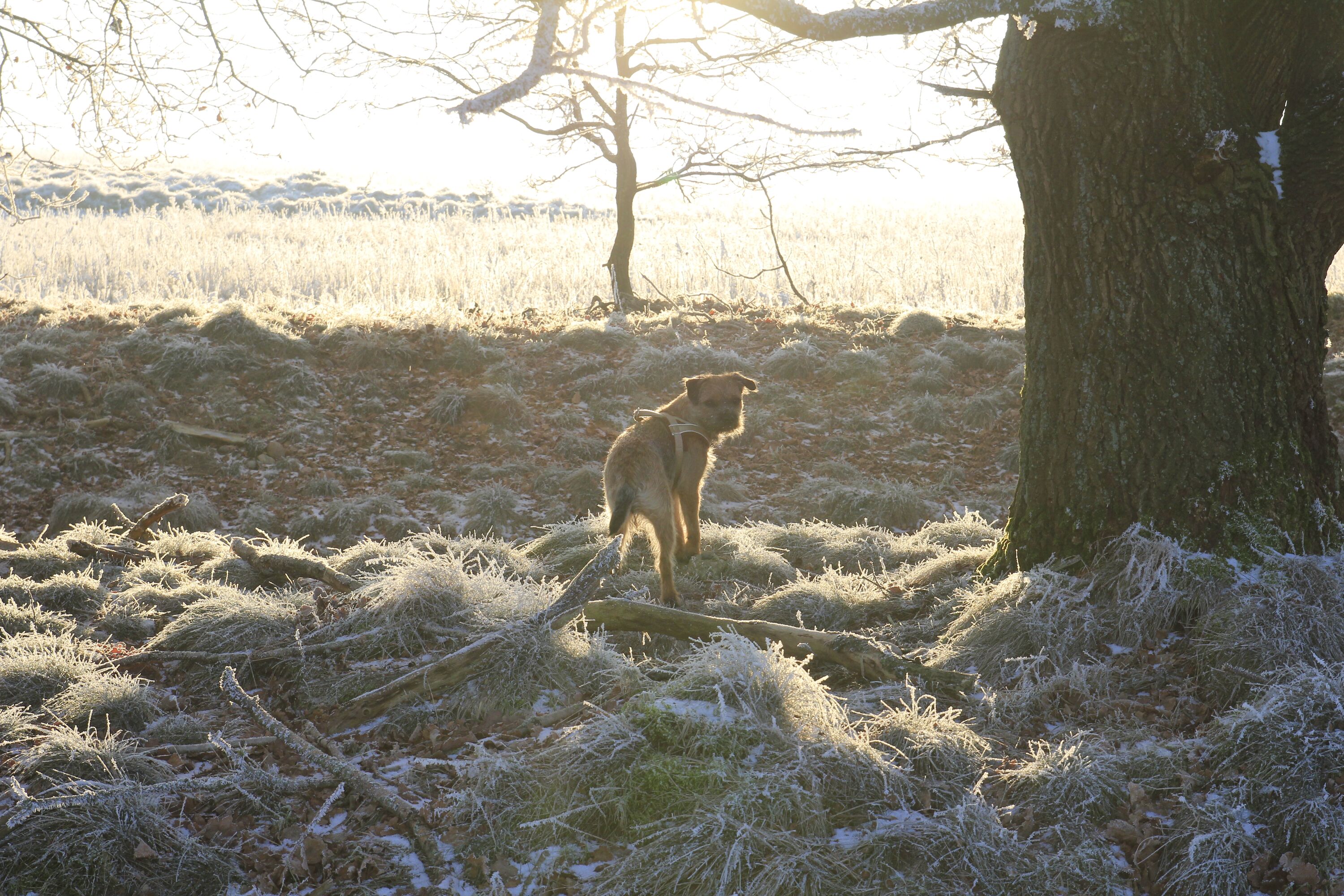 Natur pur