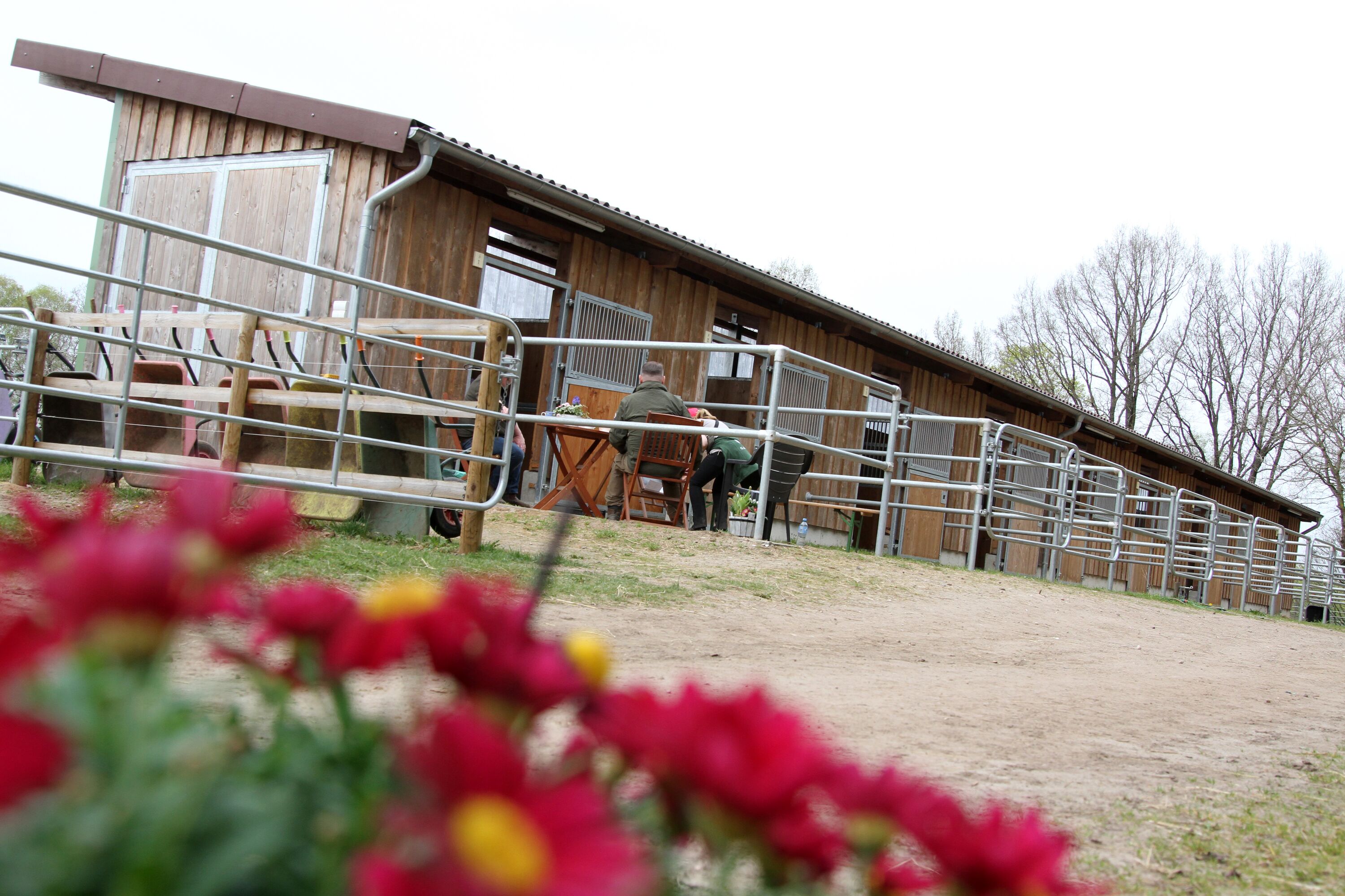 Unterkunft für Ihre Pferde, Box oder Offenstallpaddocks stattfinden, Weidegang ist möglich. Heu und Heulagefütterung. Stroh oder Strohmehl, als Einstreu