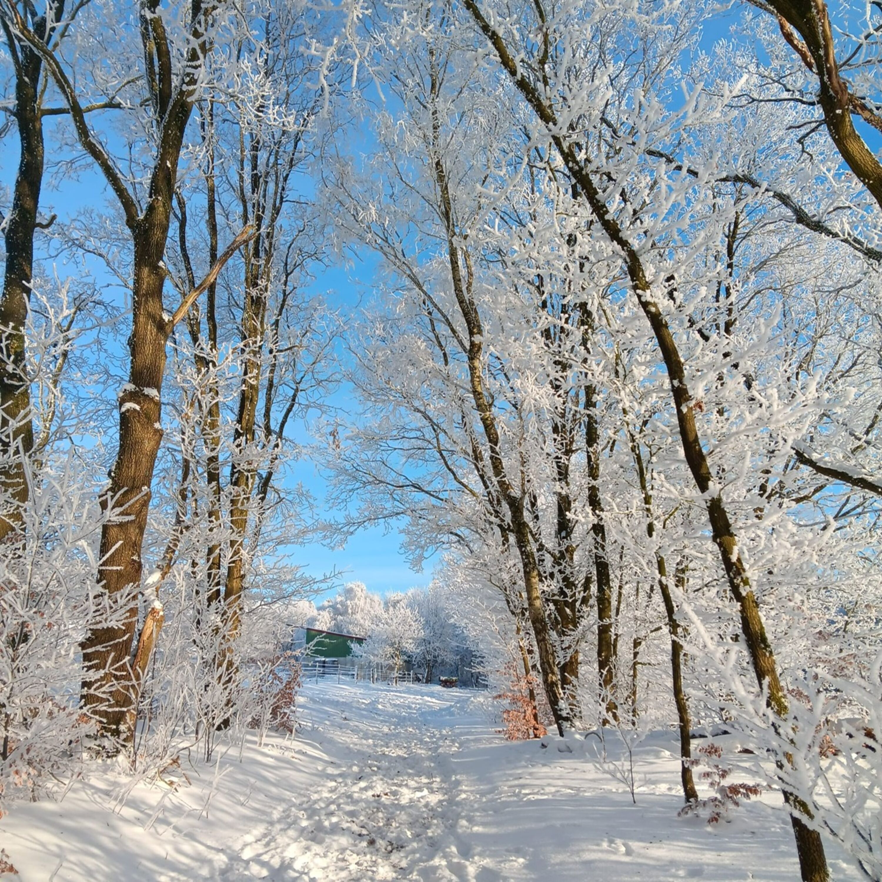 Umgebung im Winter