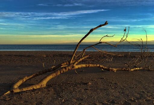 Der Strand in der Dämmerung