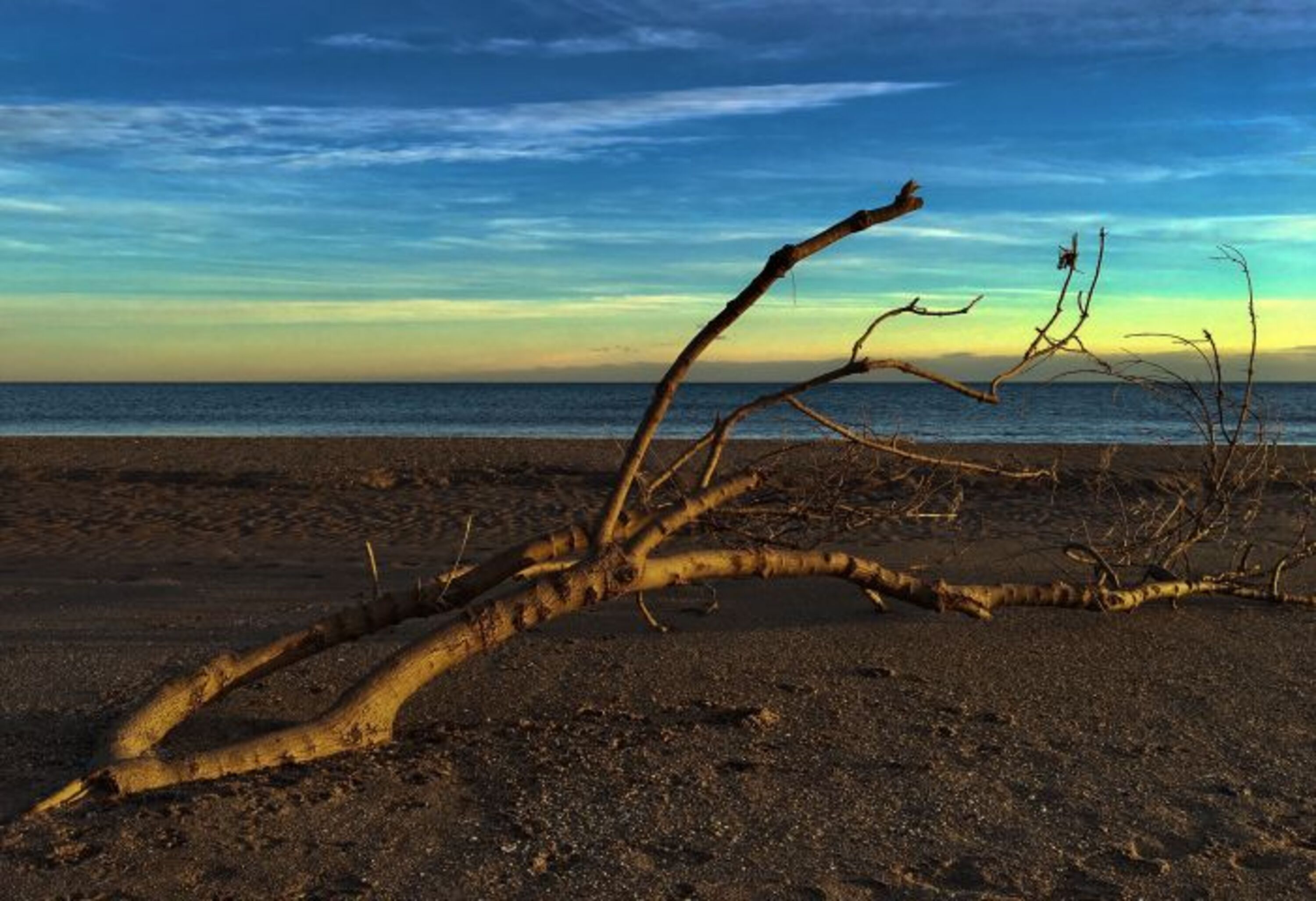 Der Strand in der Dämmerung