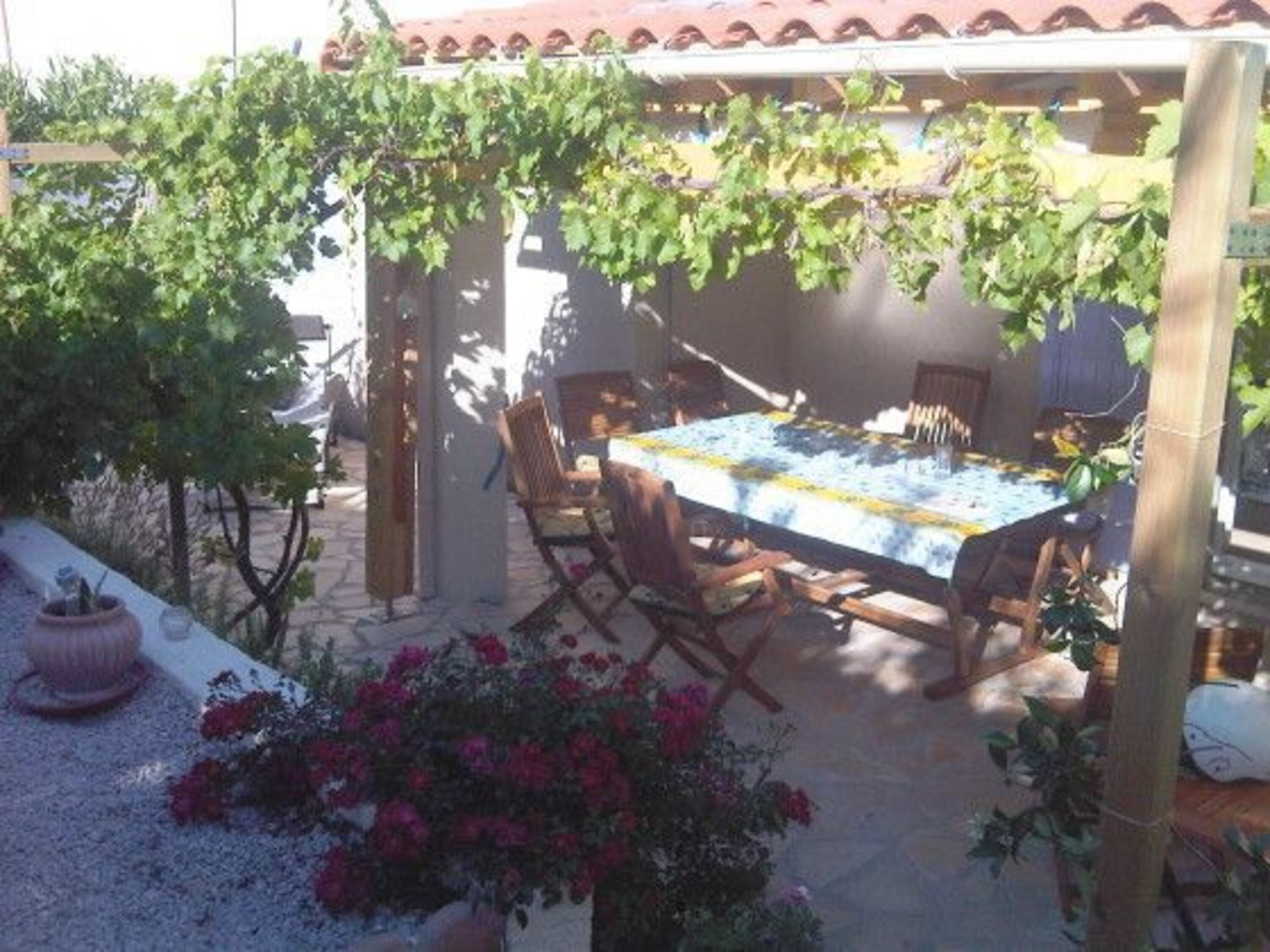 Terrasse hinten